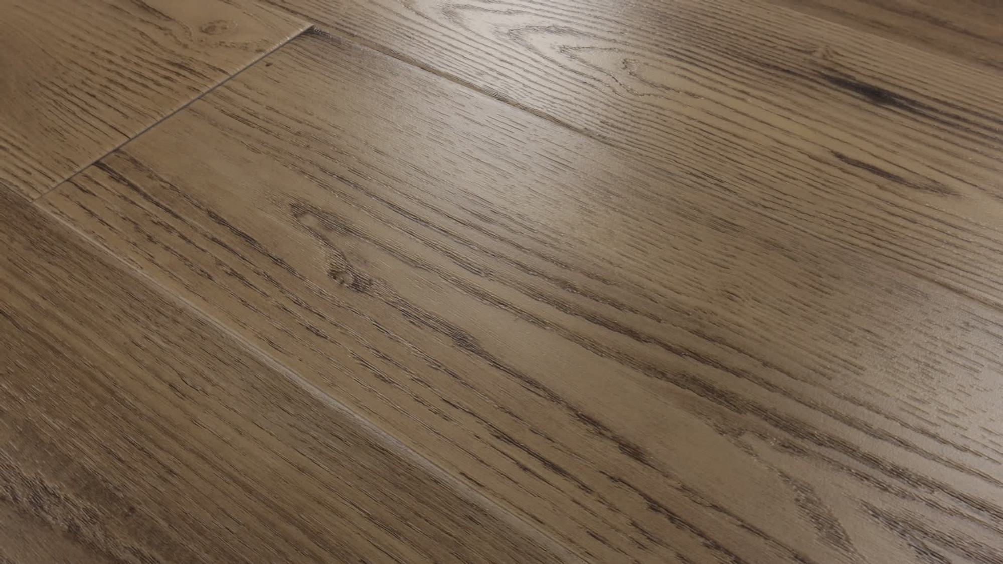 Magnolia, the manufacturer's 360 video
