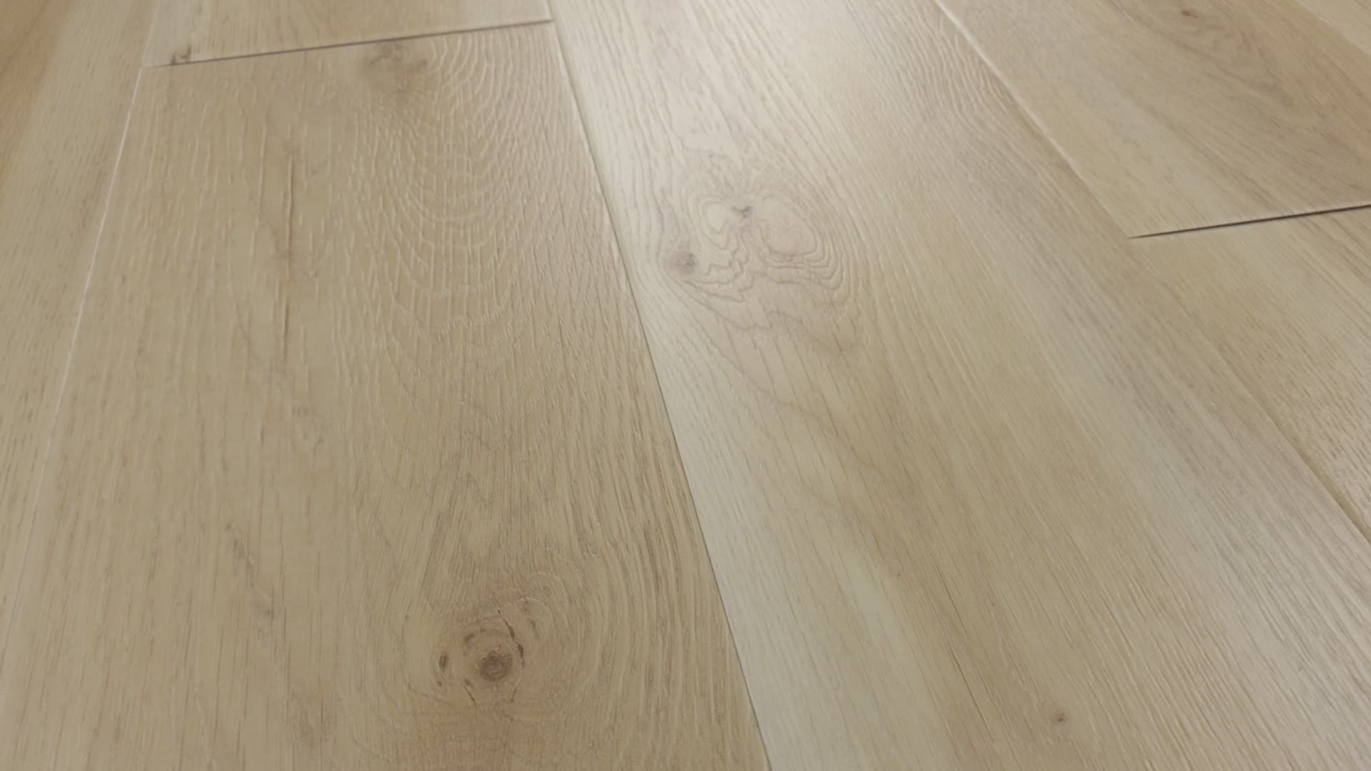 Cambridge, the manufacturer's 360 video