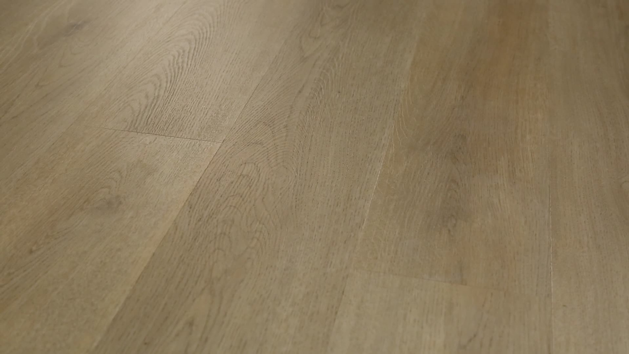 Plainfield Oak, the manufacturer's 360 video