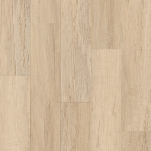 Spalted Maple
