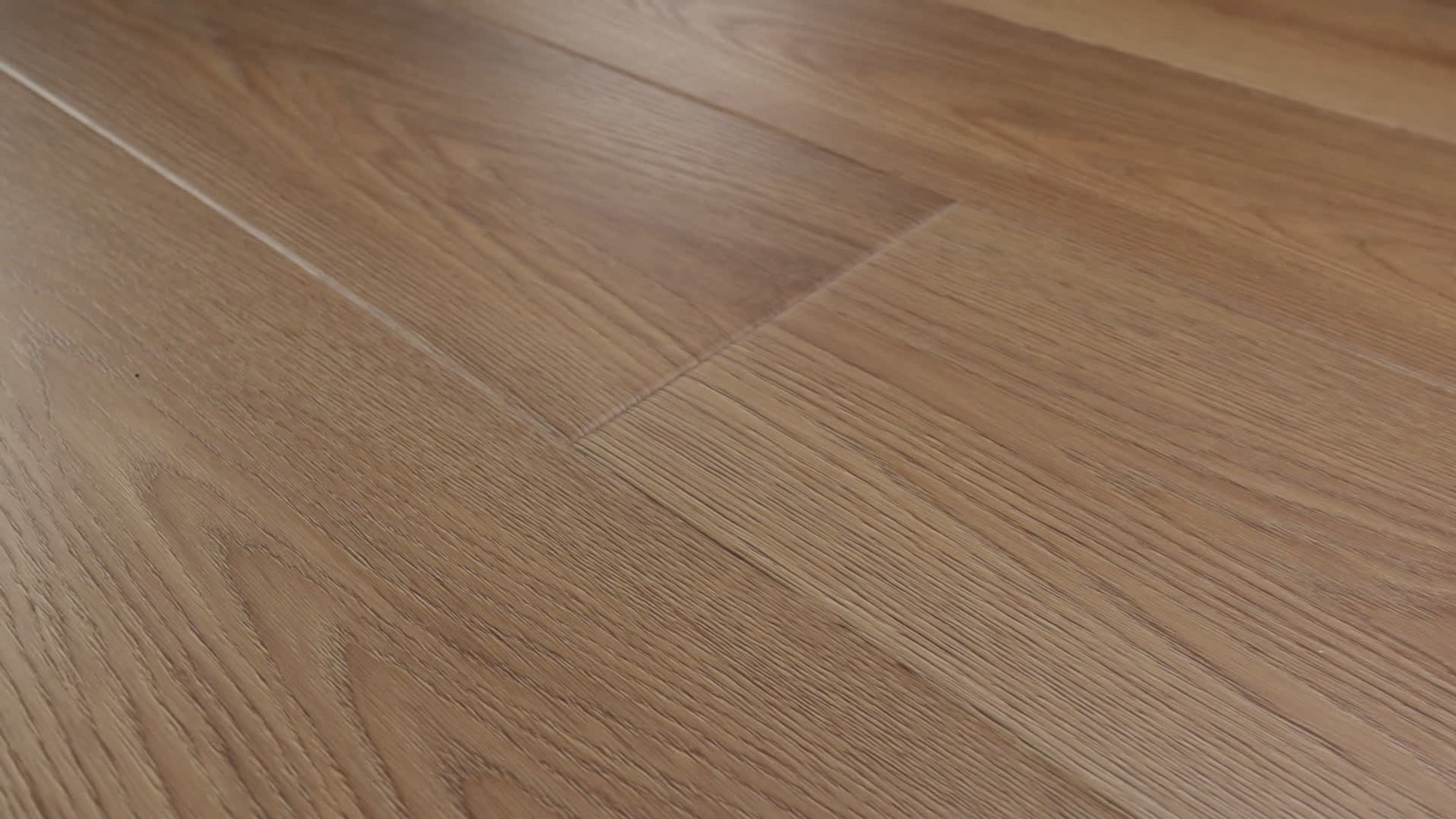 Legend, the manufacturer's 360 video