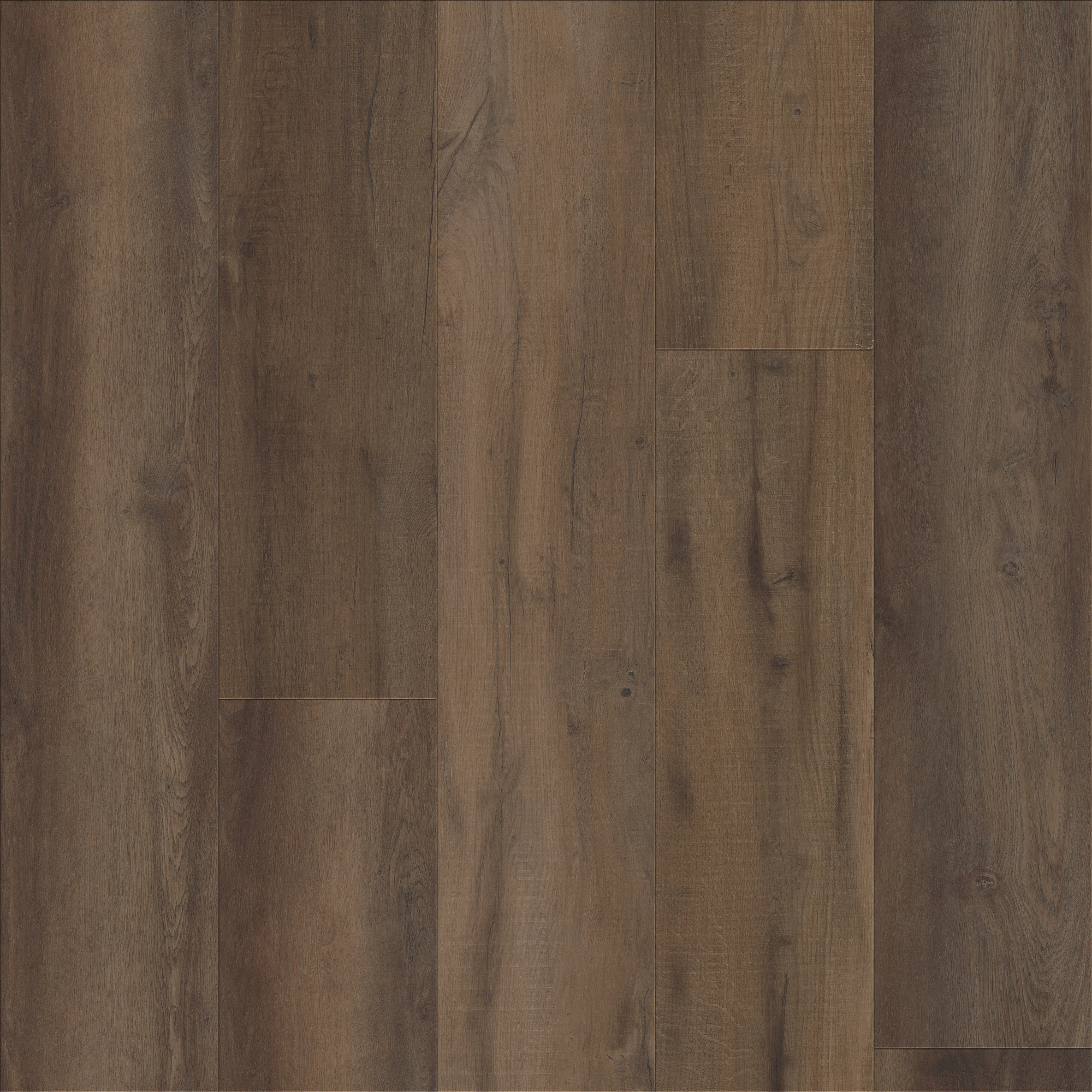 Pride Oak, laid flat, seen from above
