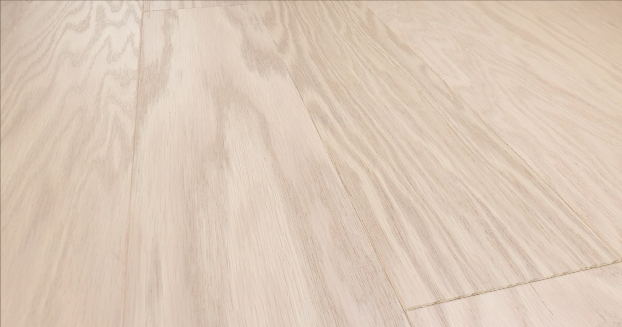 Modern, the manufacturer's 360 video