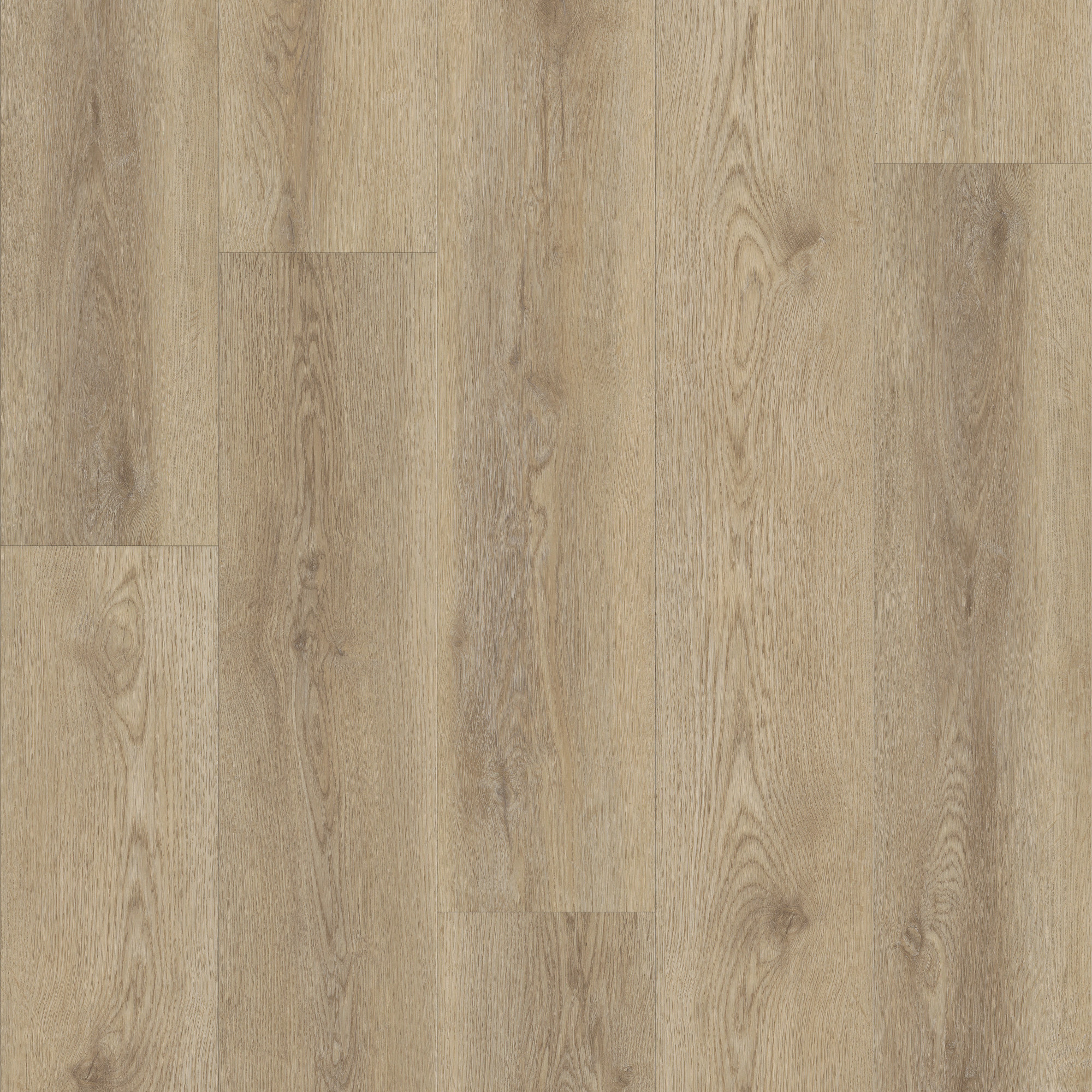 Tostata swatch