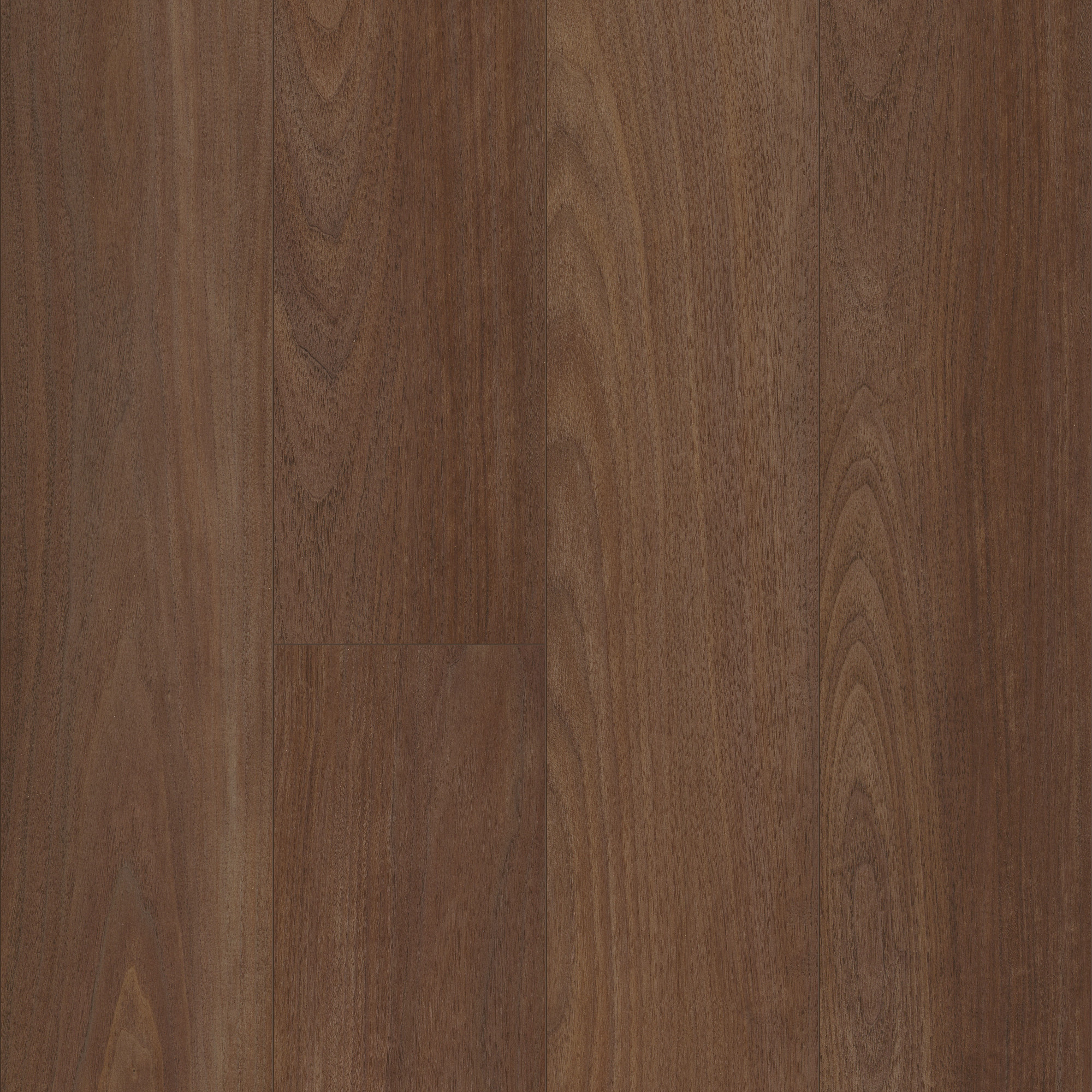 Ralston Walnut, laid flat, seen from above