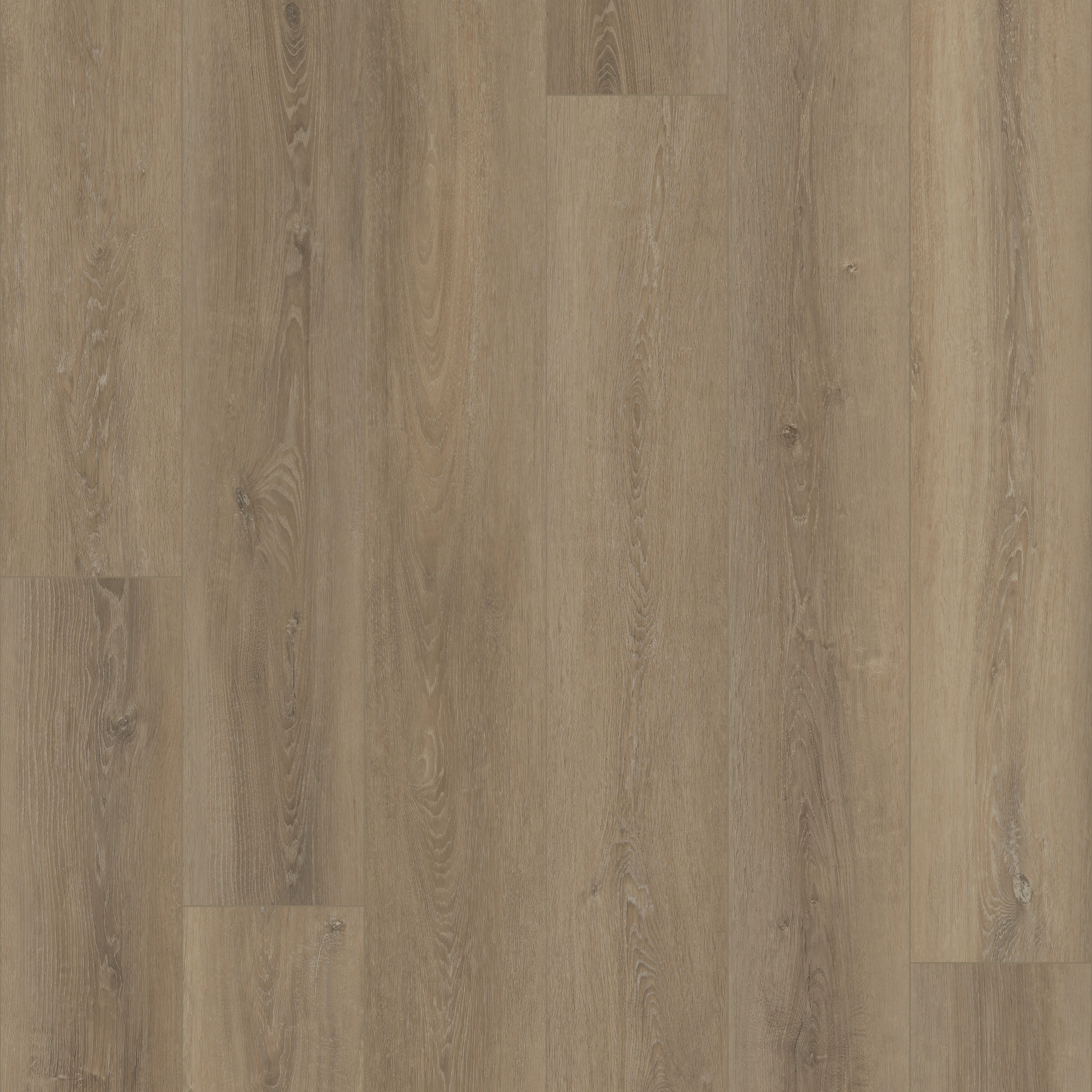 Grande Ellidy Oak swatch