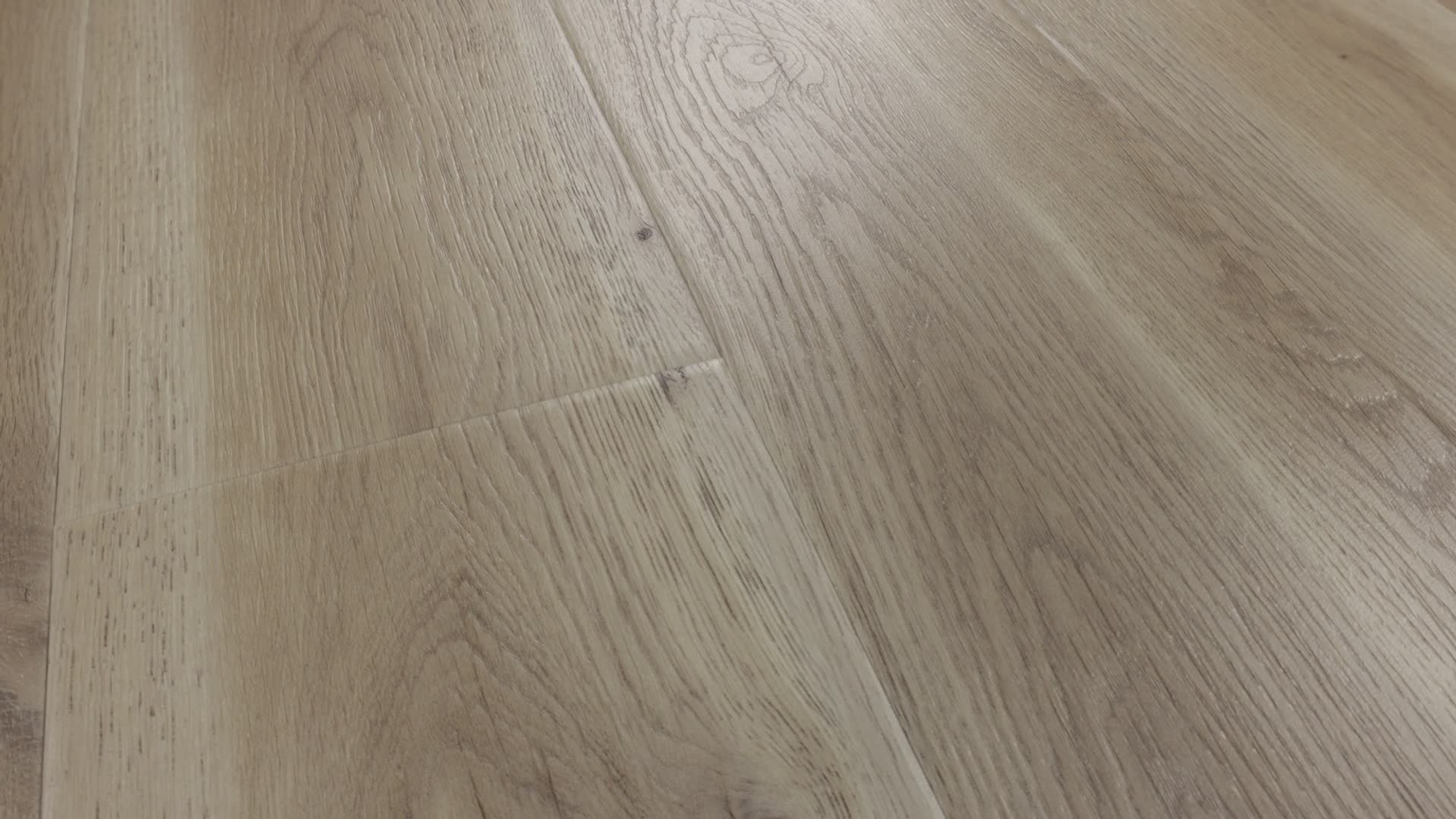 Wisteria, the manufacturer's 360 video