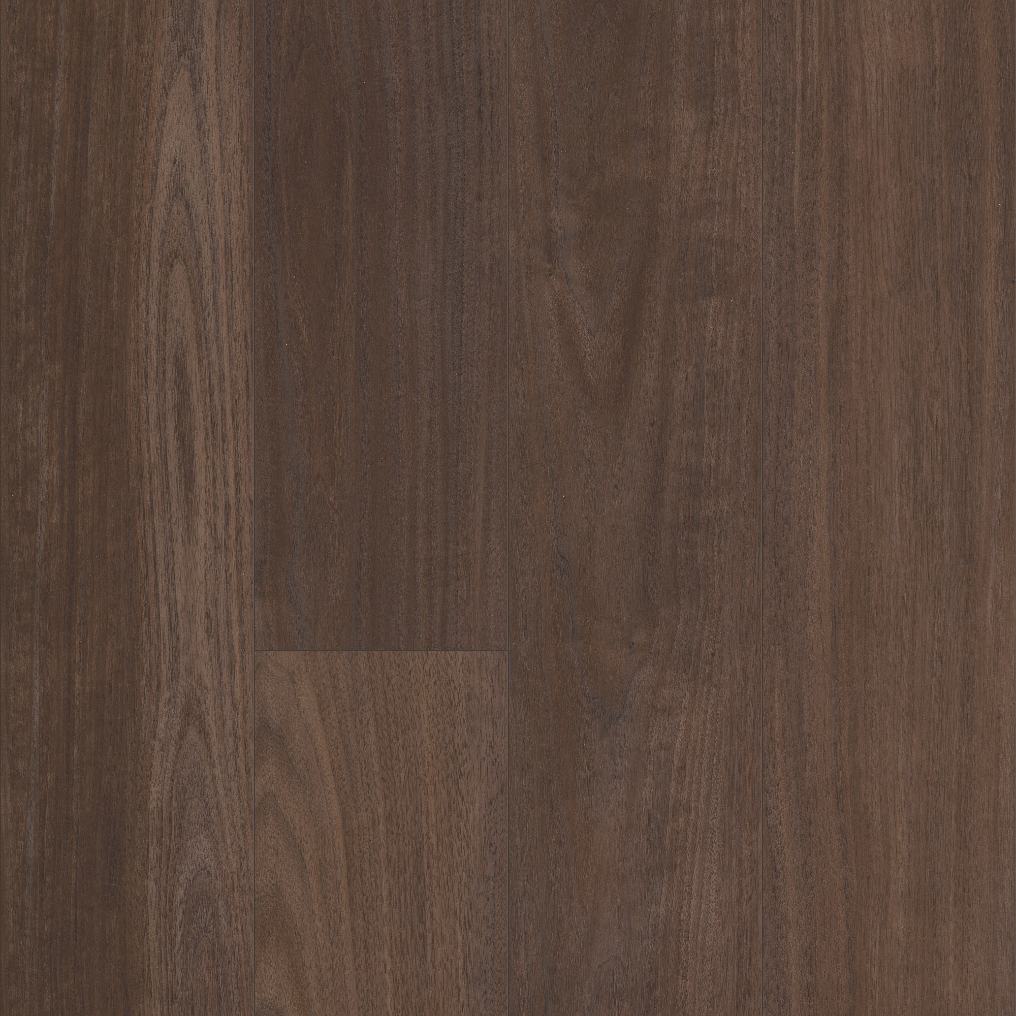 Hempstead Walnut, laid flat, seen from above
