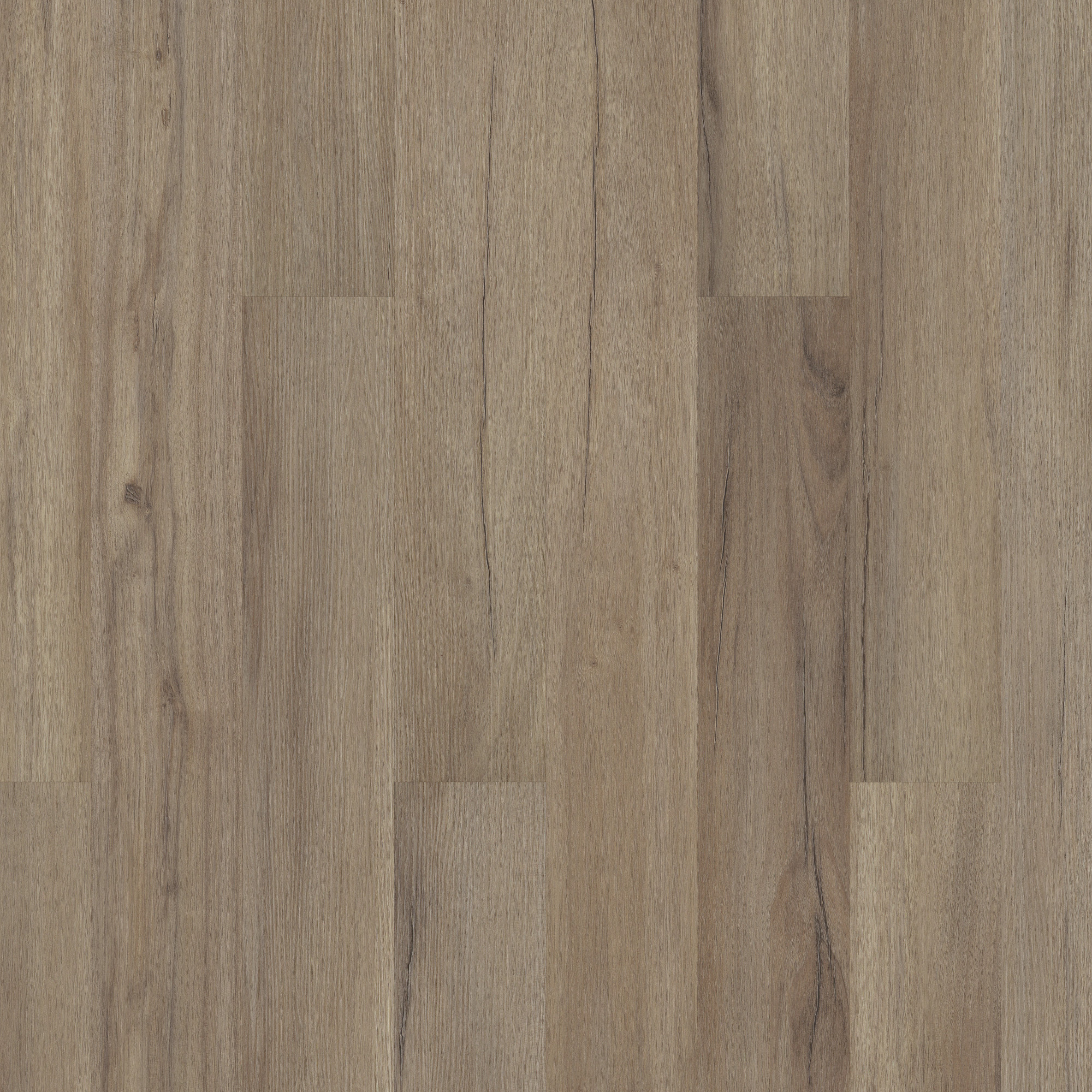 Baywood Oak, laid flat, seen from above