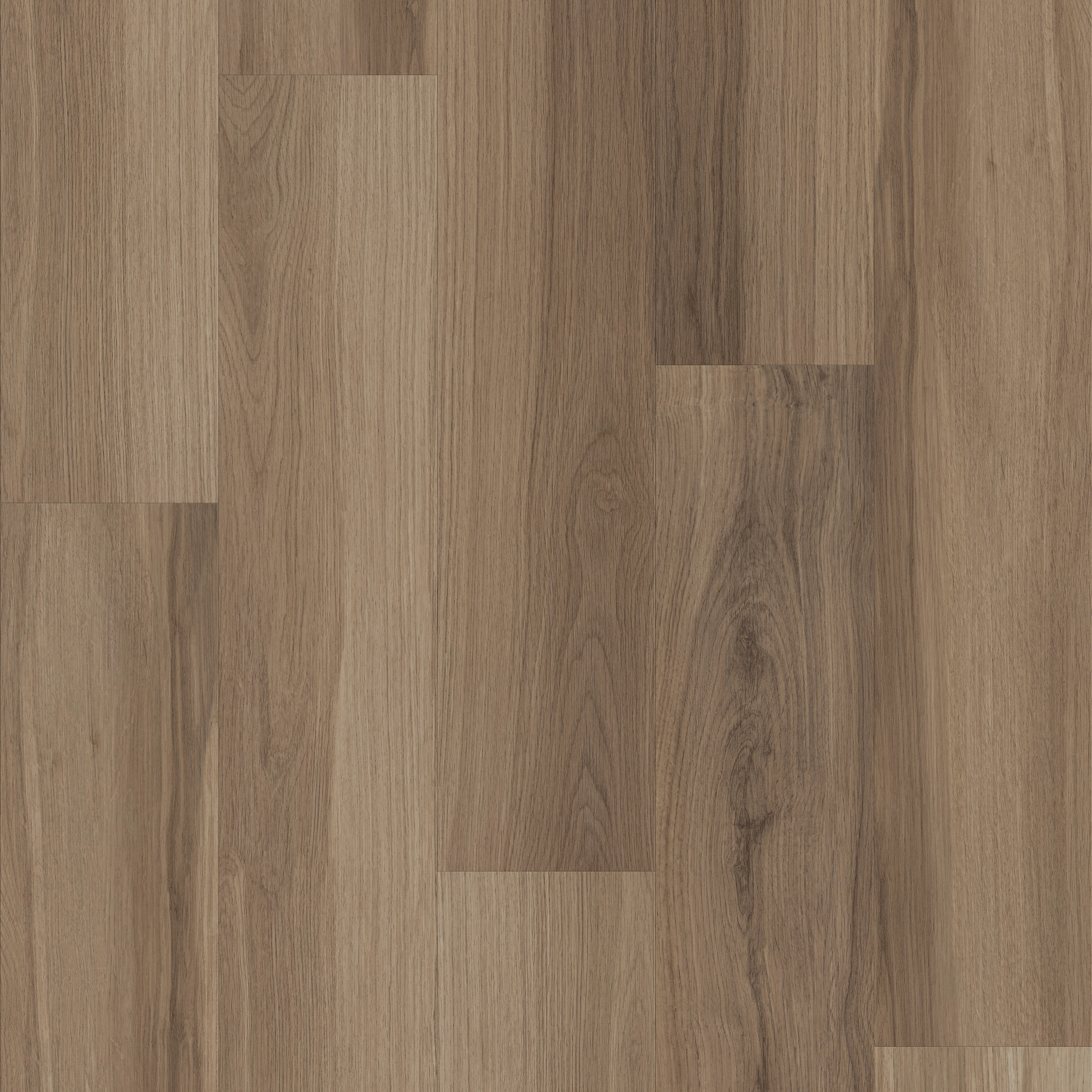 Almond Oak swatch