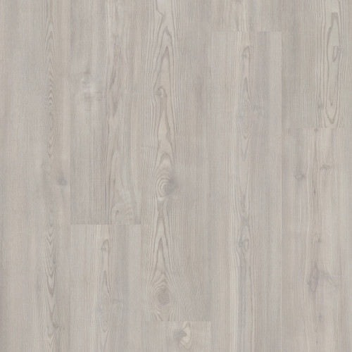 Clean Pine