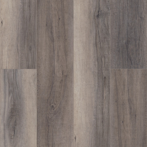 Berkshire Elm