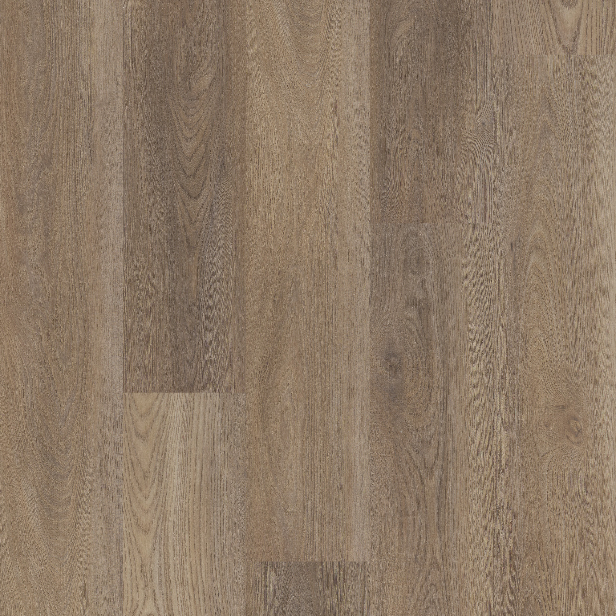 Ash Oak swatch