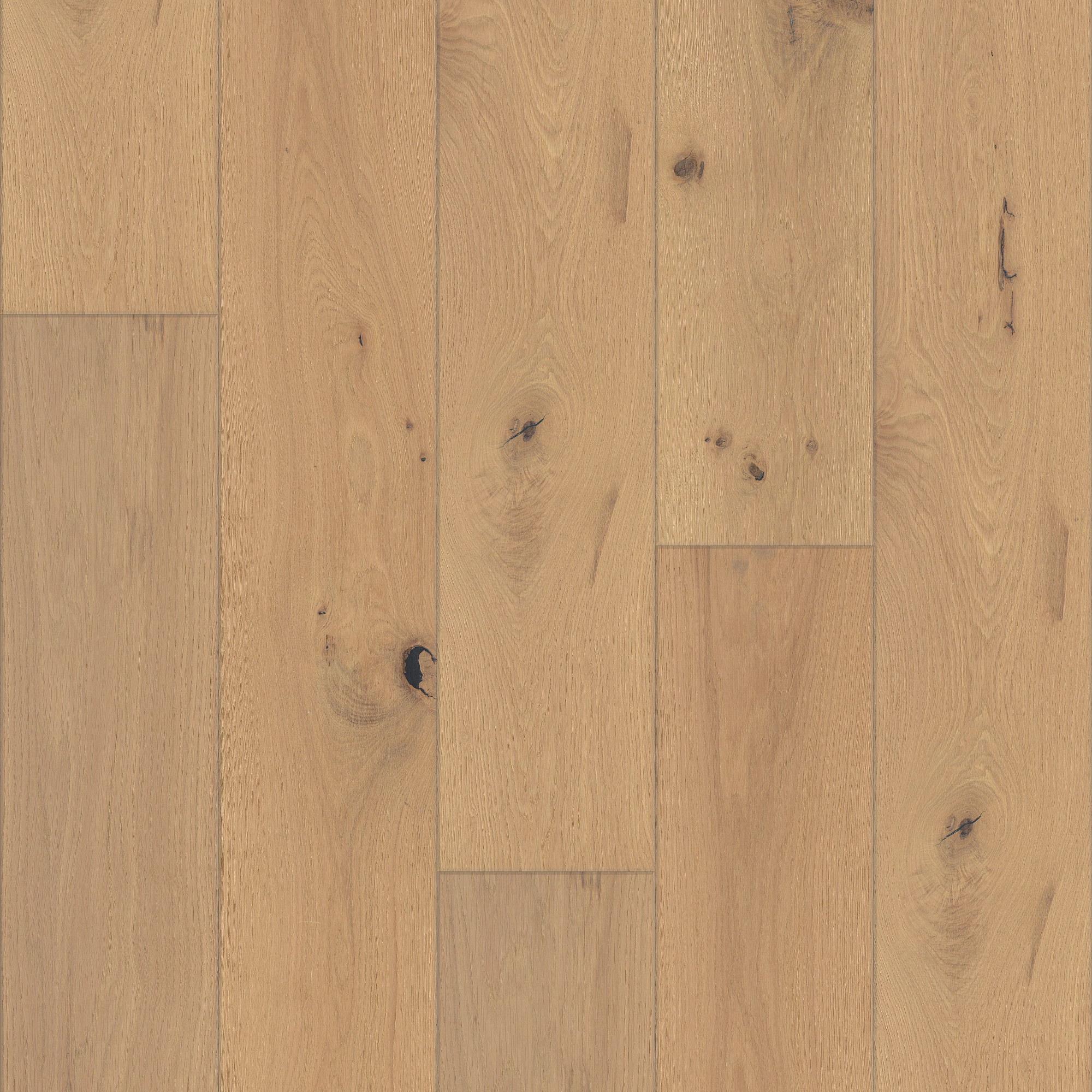 Harmony, laid flat, seen from above