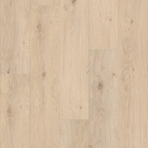 Wishbone White