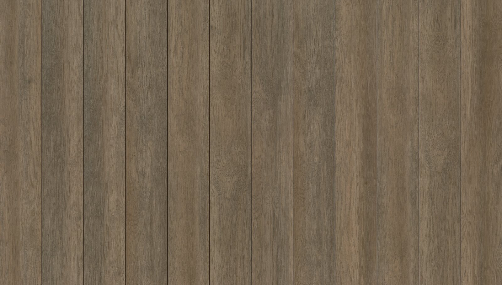 Raconteur, its boards side by side