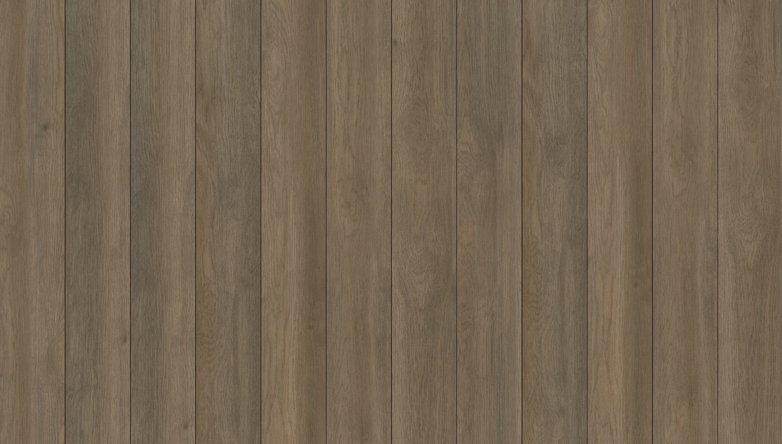 Raconteur, its boards side by side