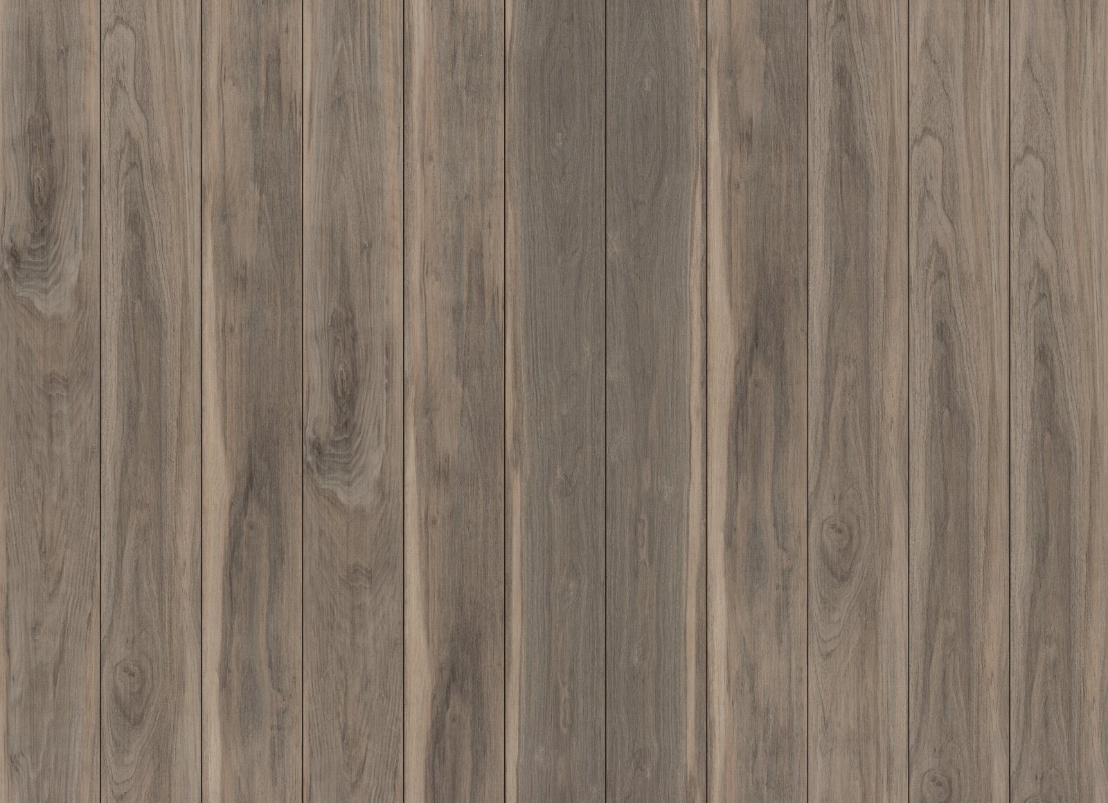Sparrow, its boards side by side