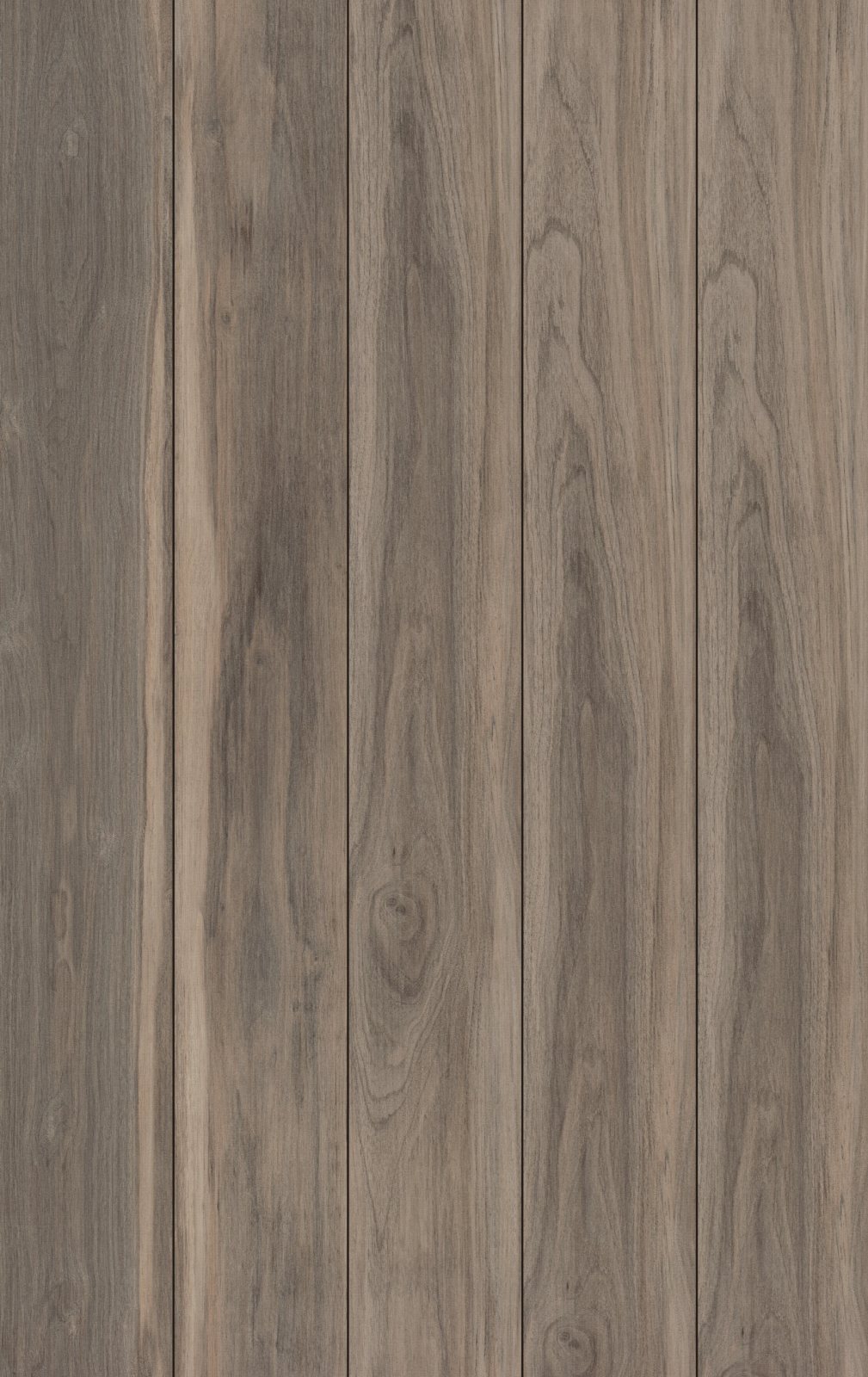 Sparrow, its boards side by side
