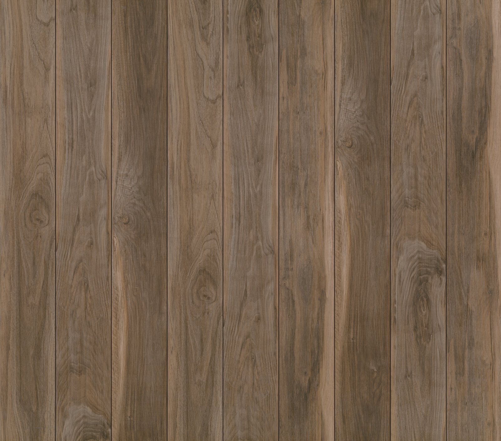 Terra, its boards side by side