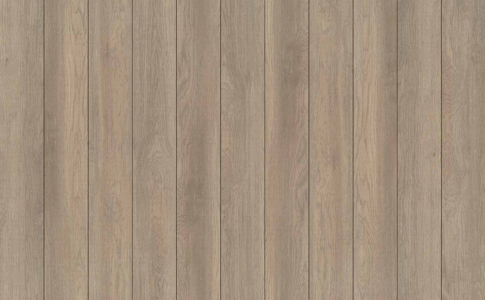 Willow Oak, its boards side by side