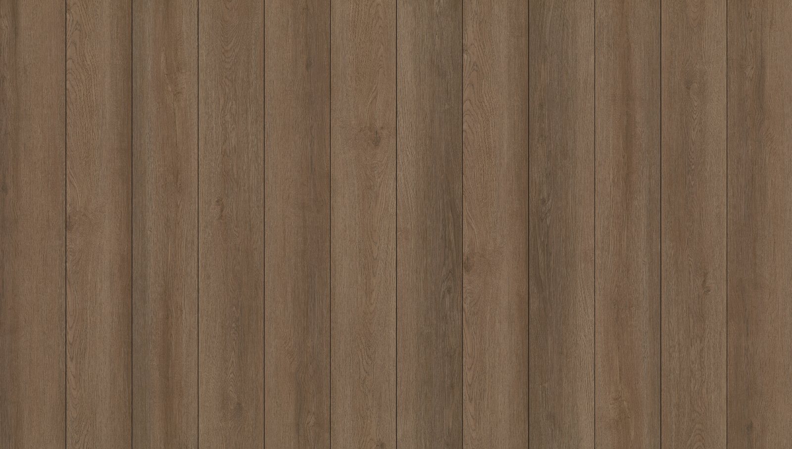 Texas Bur, its boards side by side