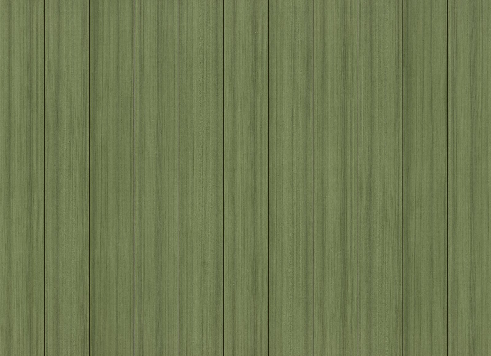 Cactus, its boards side by side