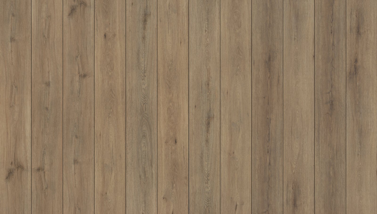 Wild Dunes, its boards side by side