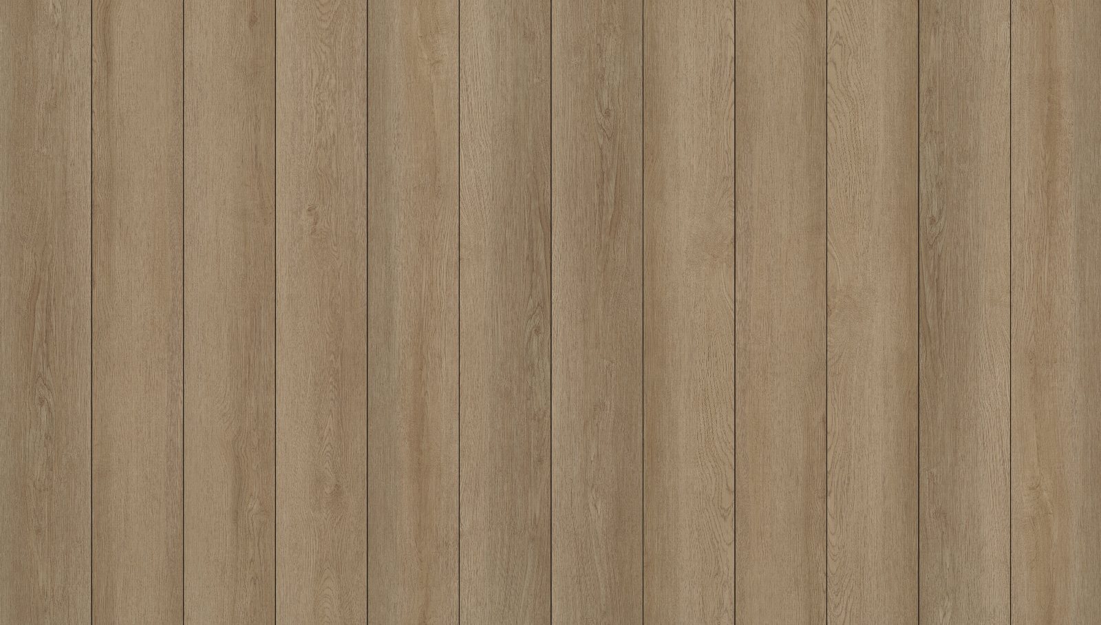 Ohlone Oak, its boards side by side
