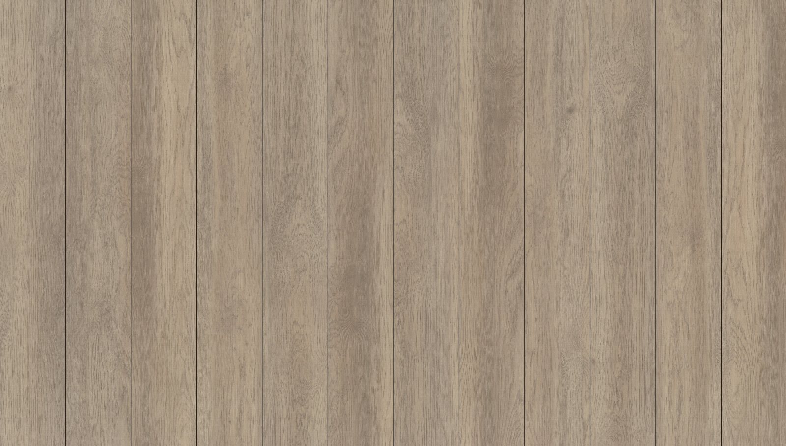 Willow Oak, its boards side by side
