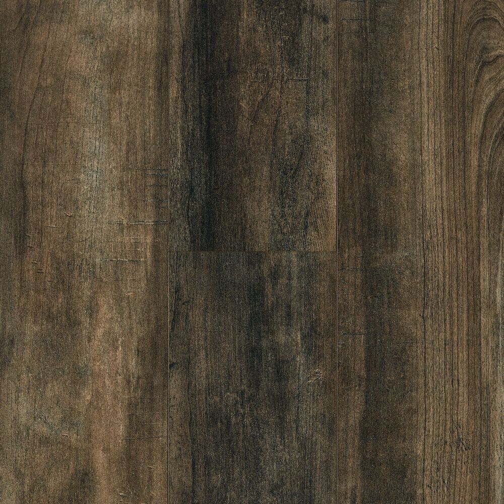 Shady Location swatch