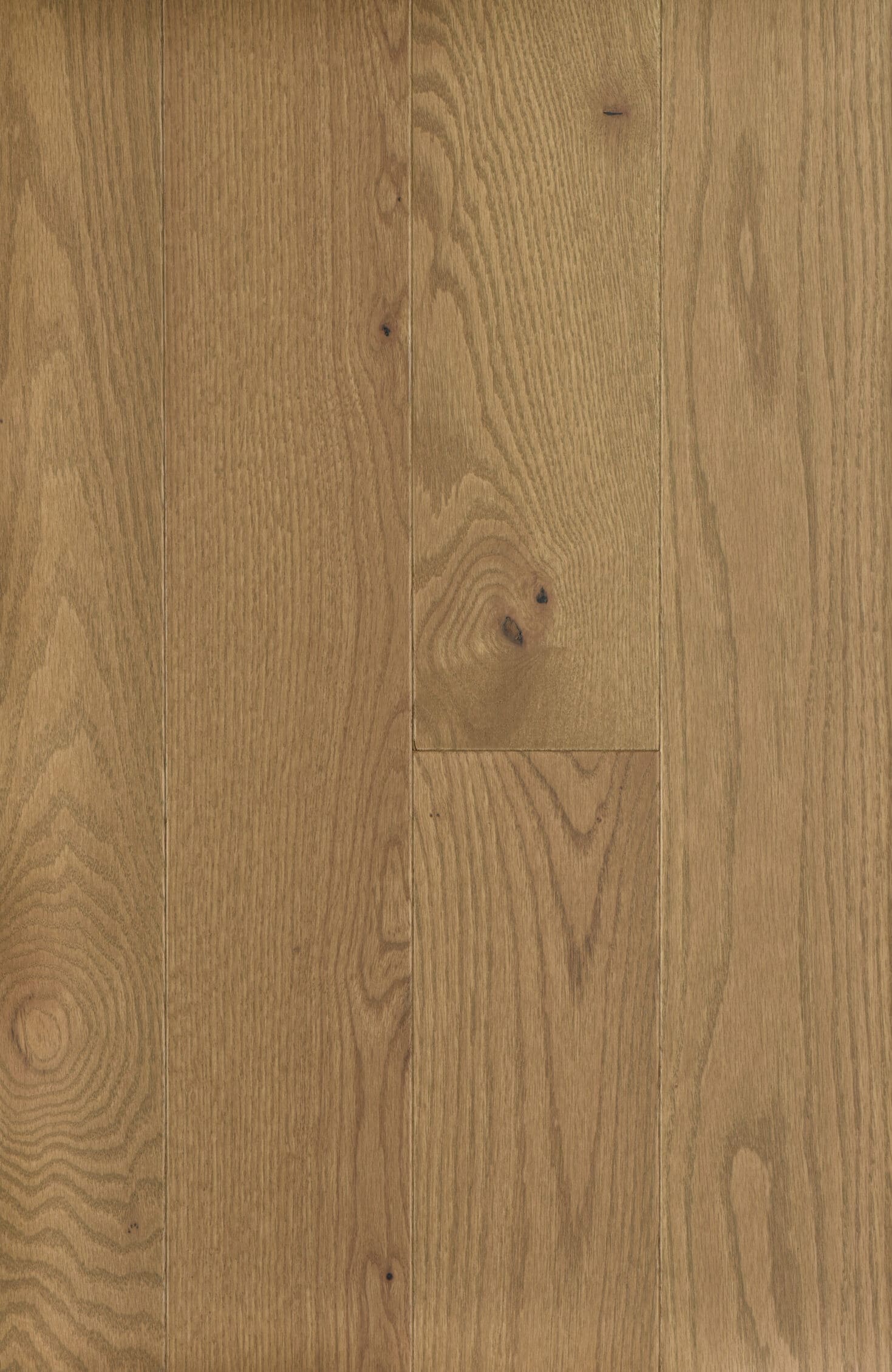Bayleaf matte