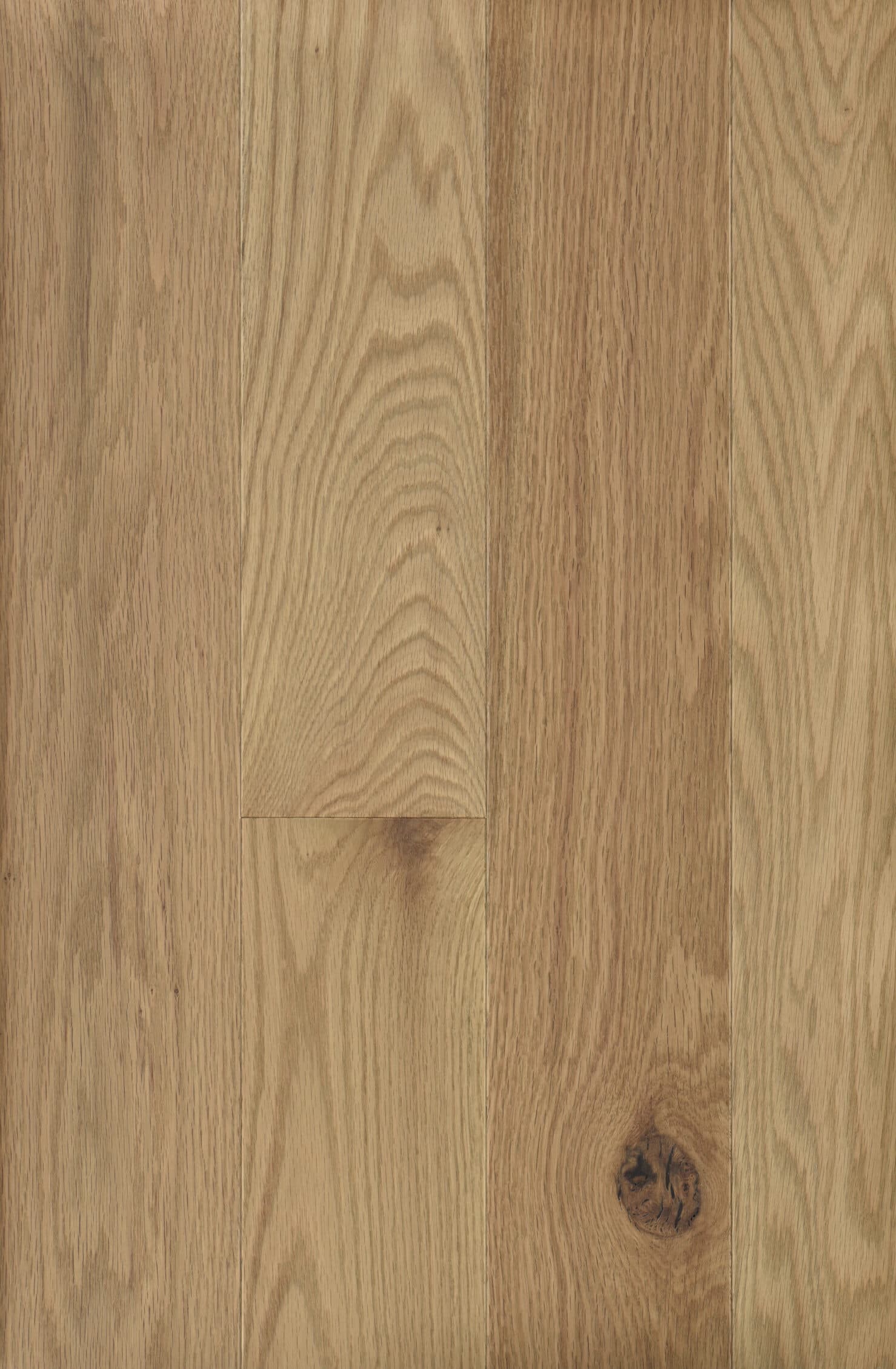 Dune matte