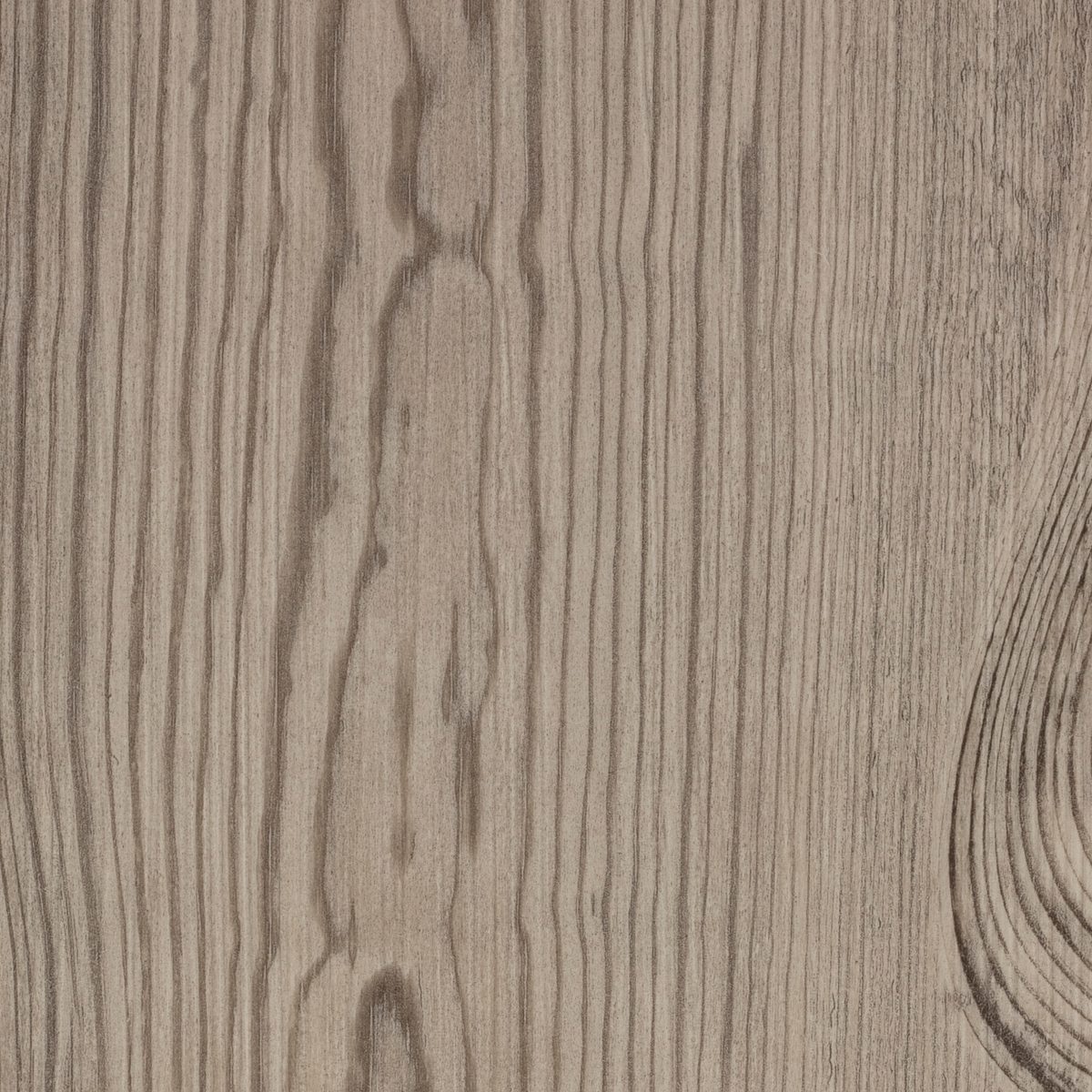 Prestique Pine, the grain of one board close up