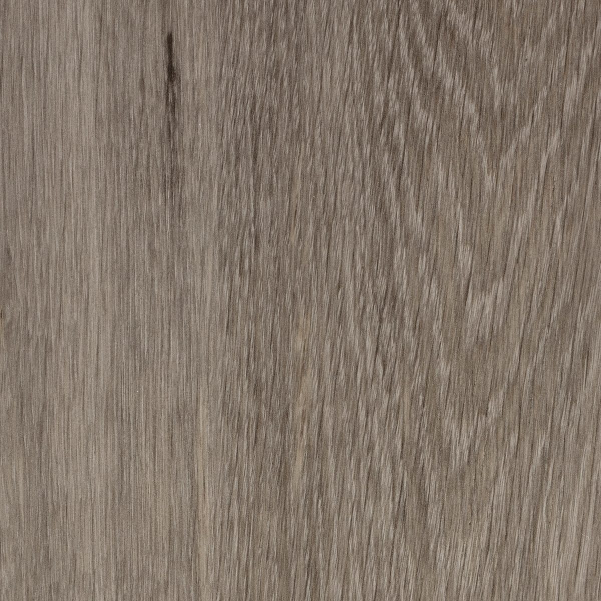 Ambassador, the grain of one board close up