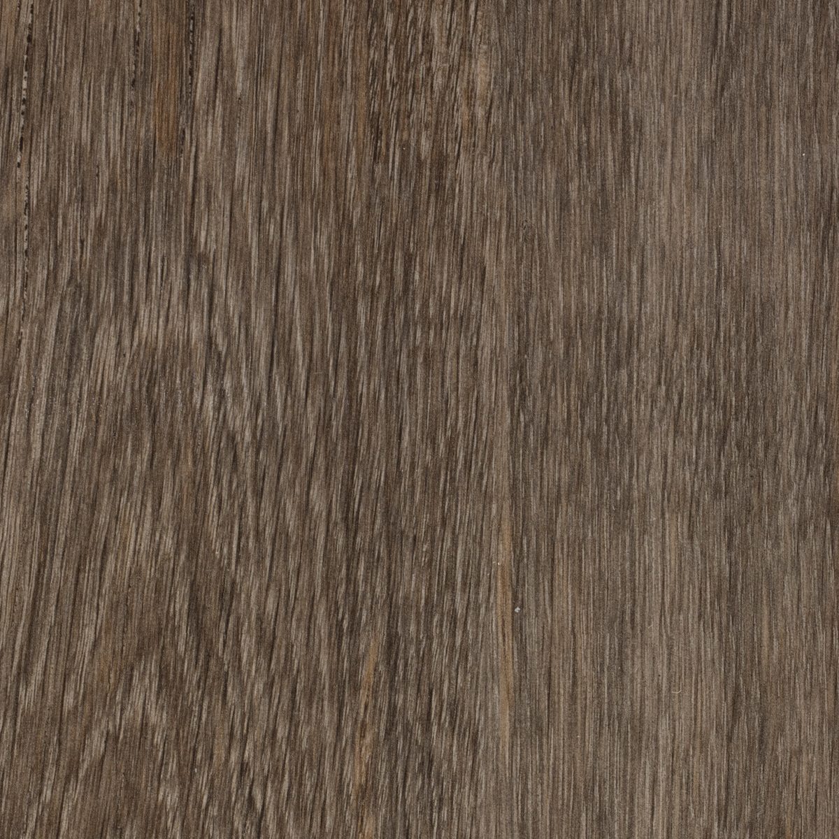 Chapman, the grain of one board close up