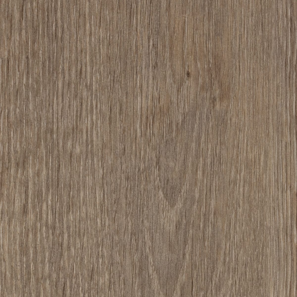 Ryman, the grain of one board close up