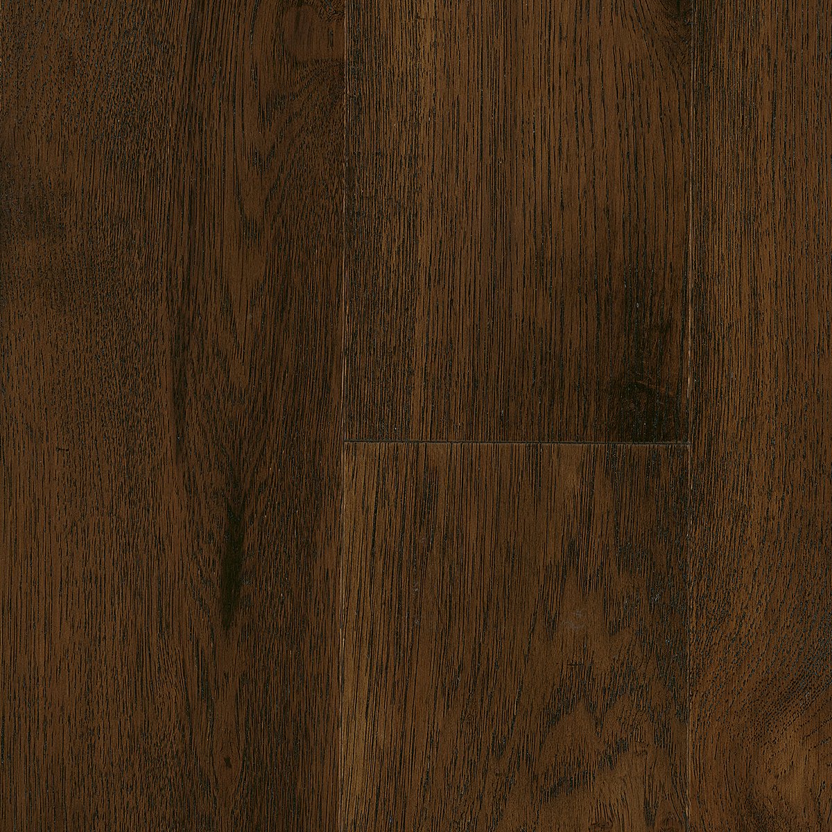 Sugar Shack swatch