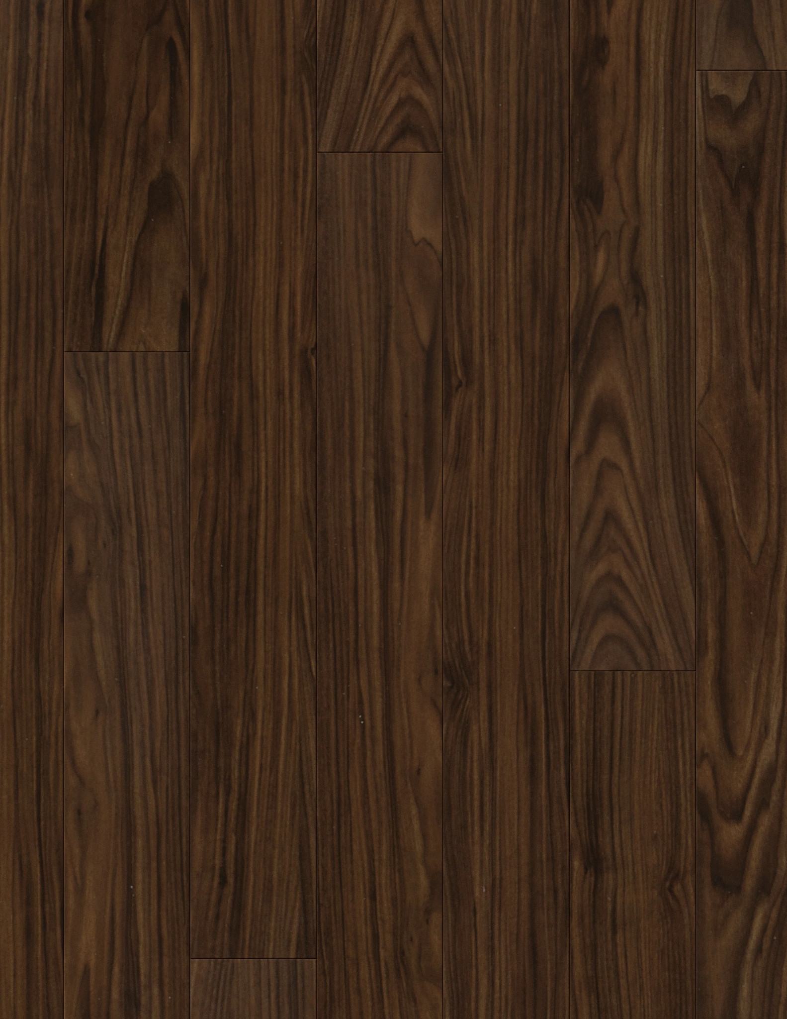 Black Walnut swatch