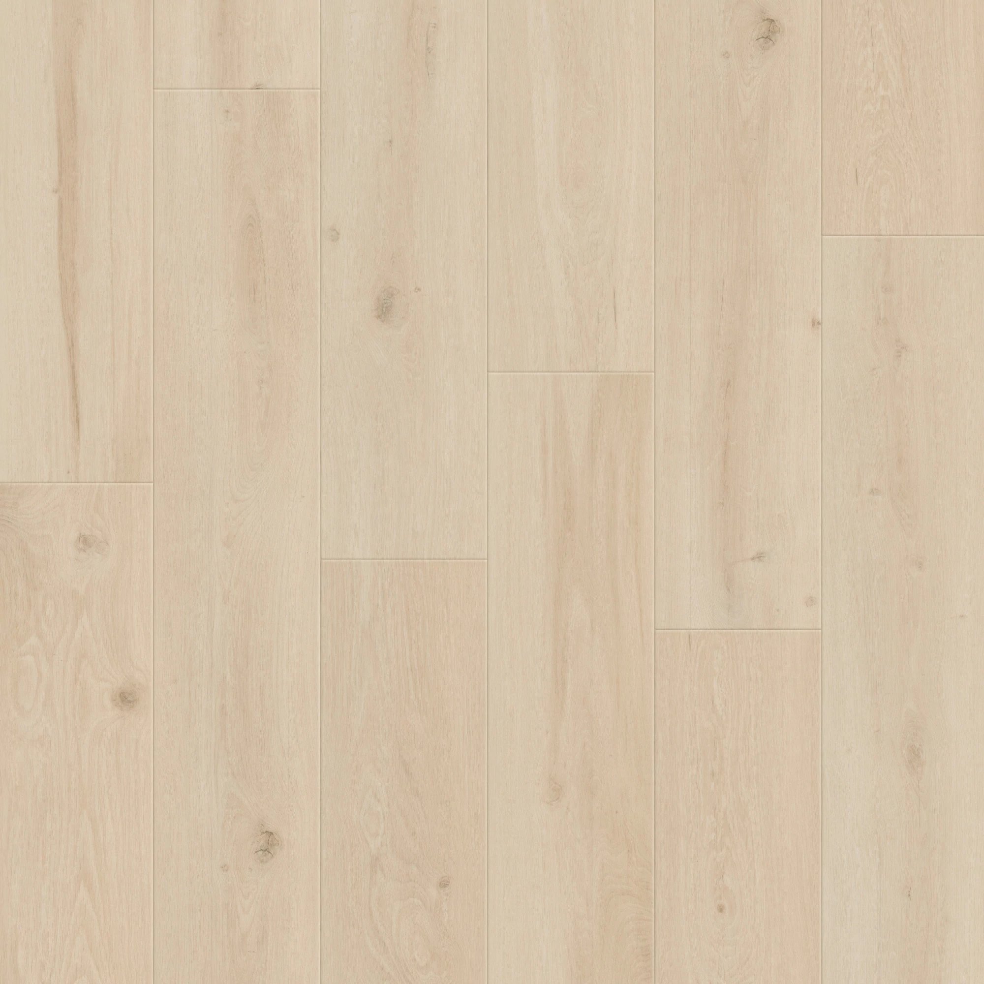 Silken Timber Oak swatch