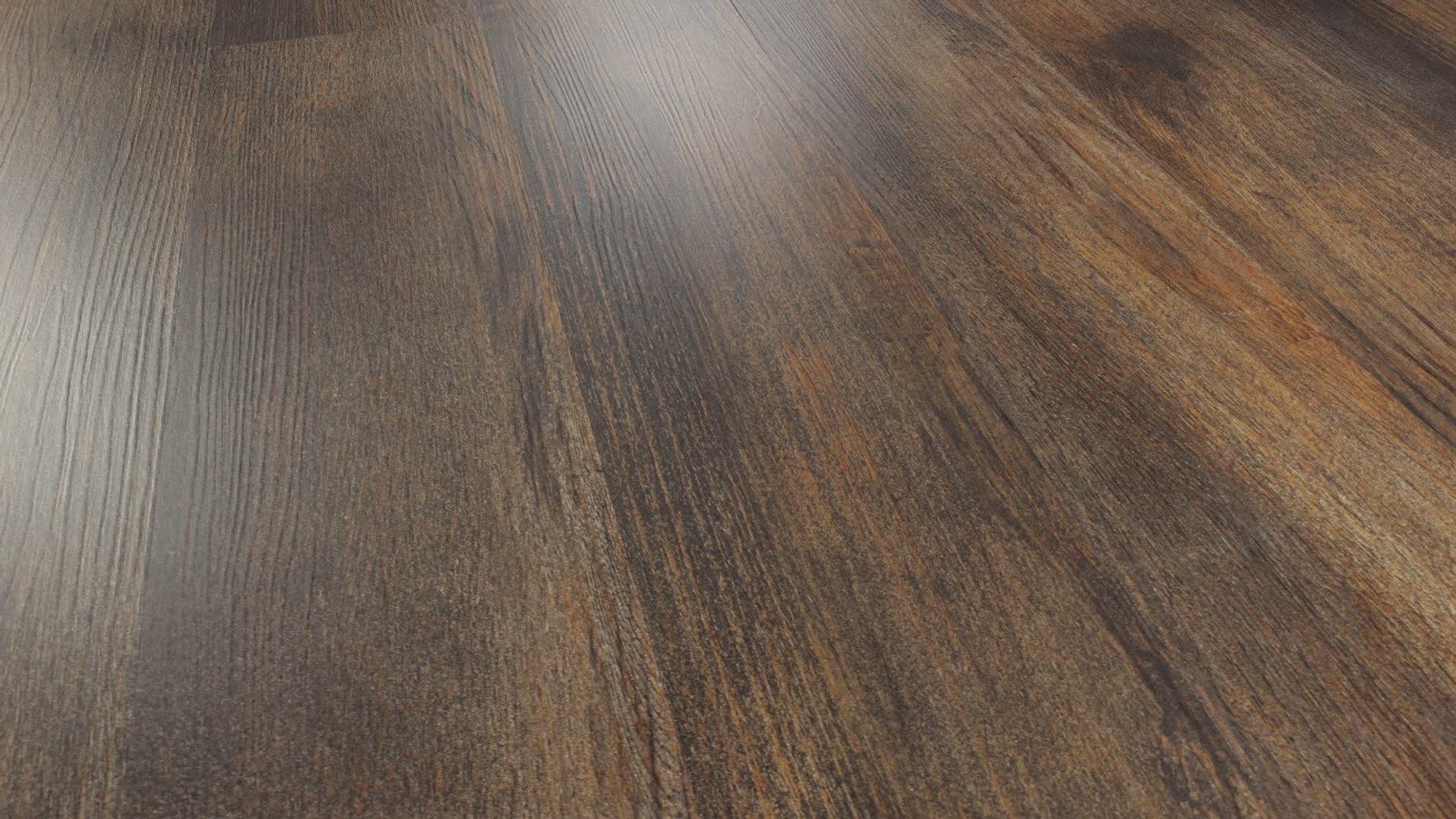Thicket, the manufacturer's 360 video