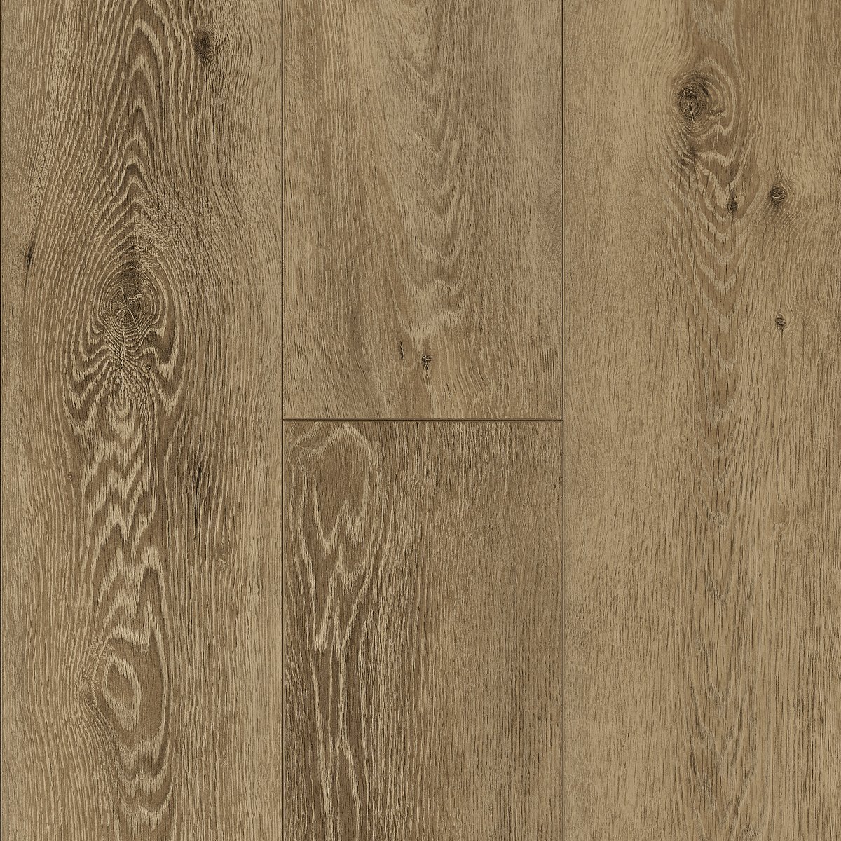 Earthy Elegance swatch