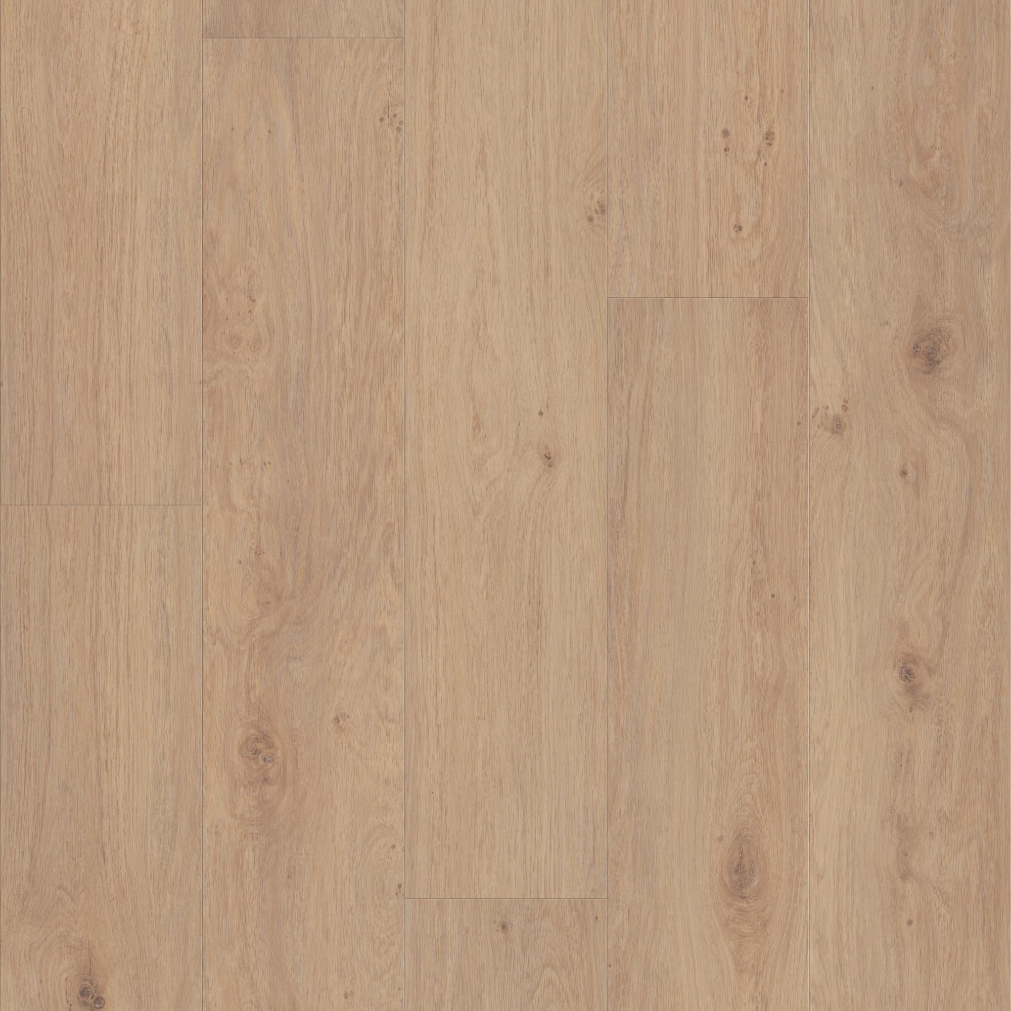 Occasional Beige swatch