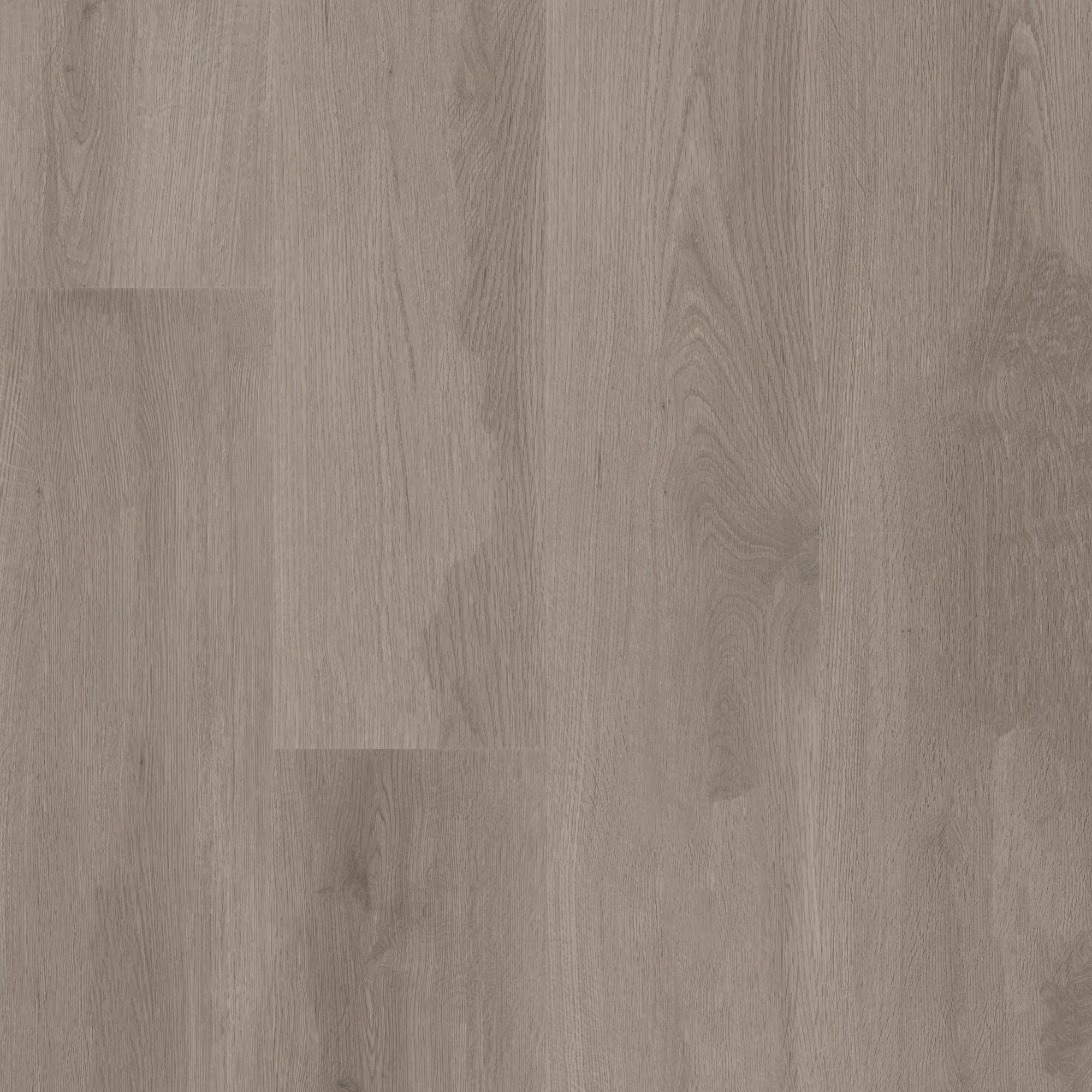 Summit Grey swatch