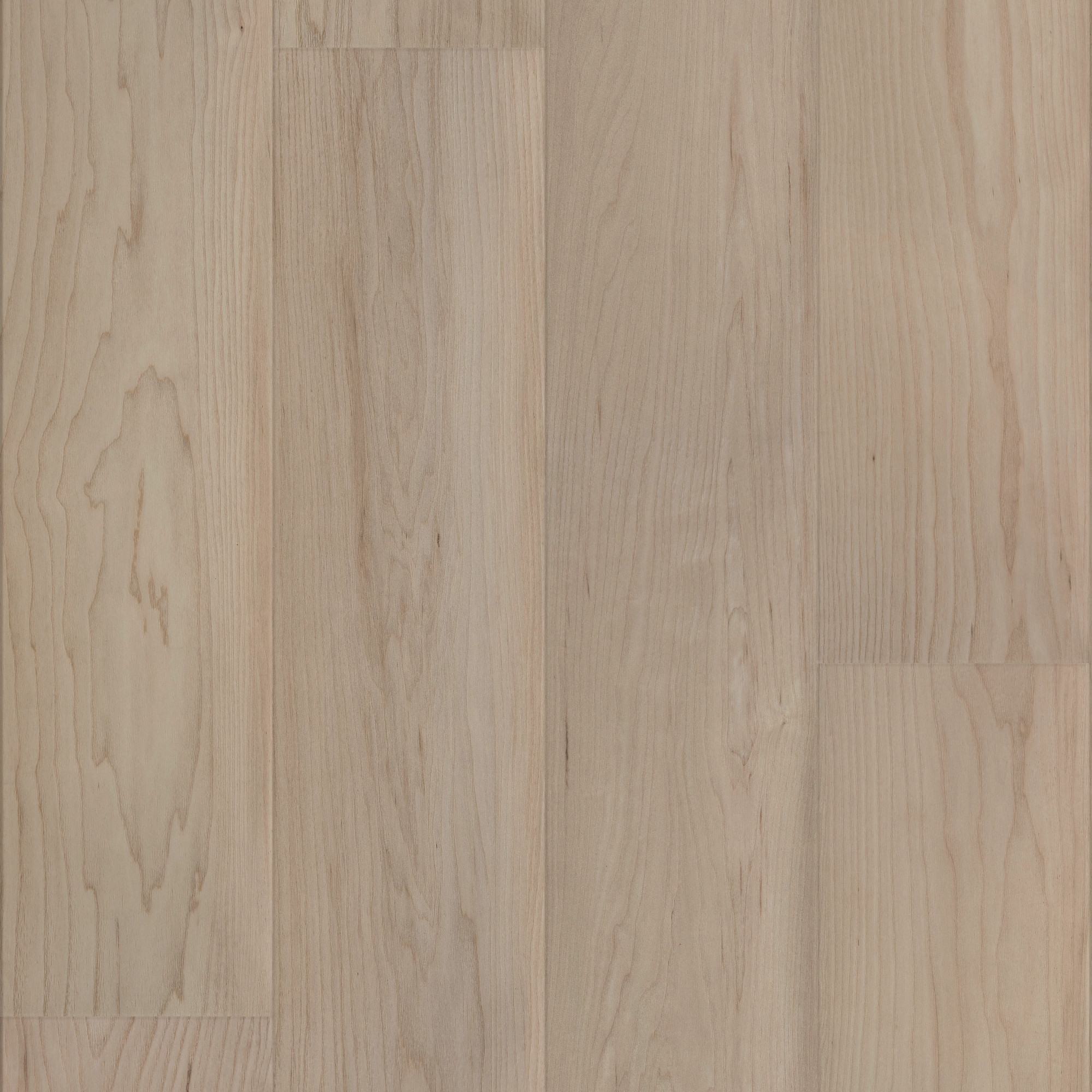 Coastal Dune Maple swatch