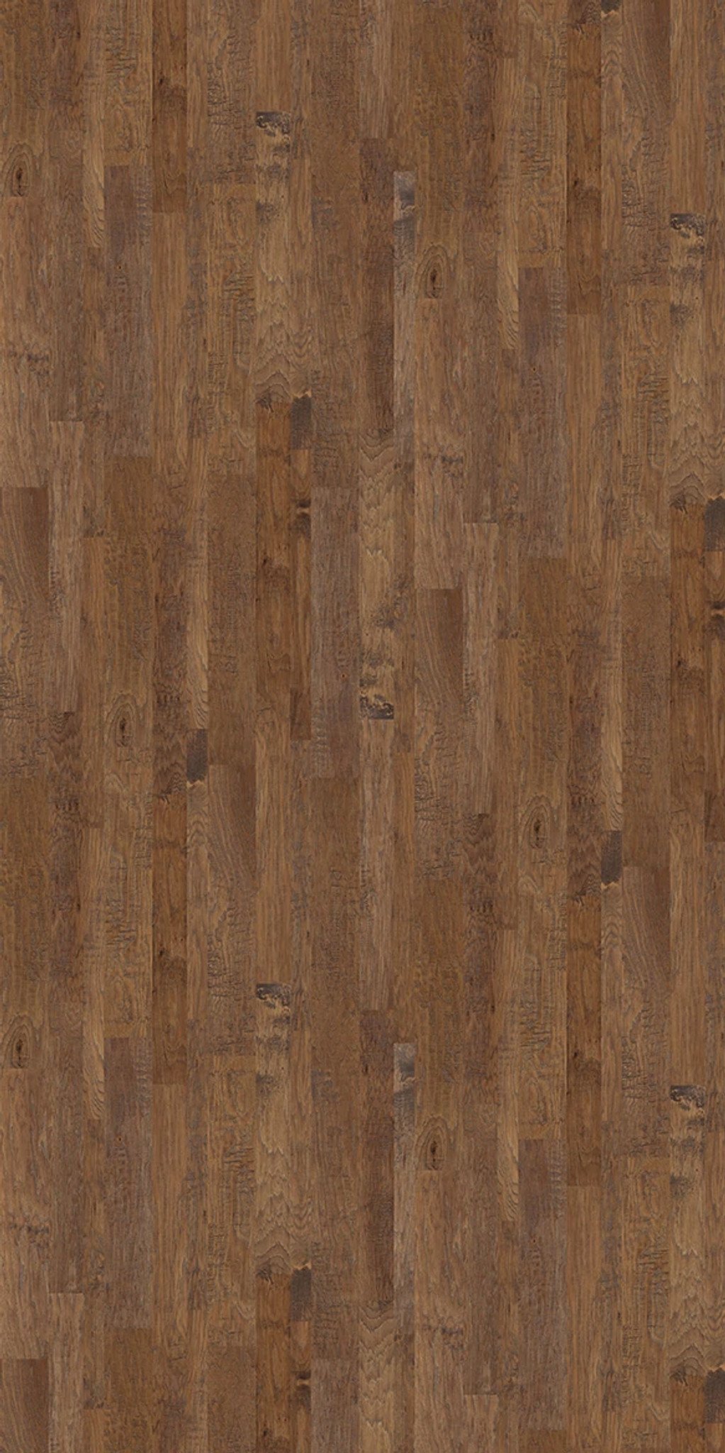 Pacific Crest, laid flat, seen from above