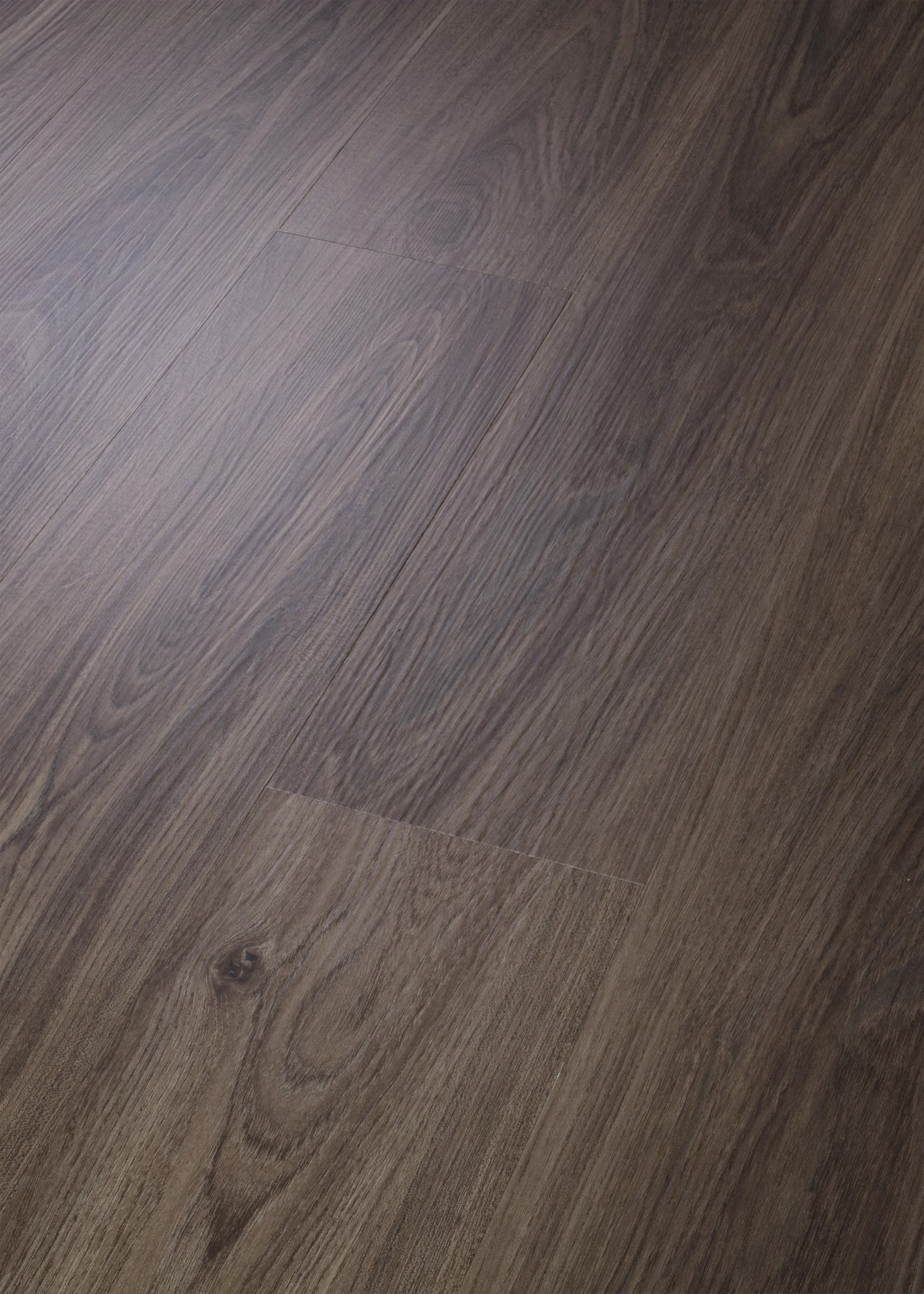 Dark Elm, seen at an angle