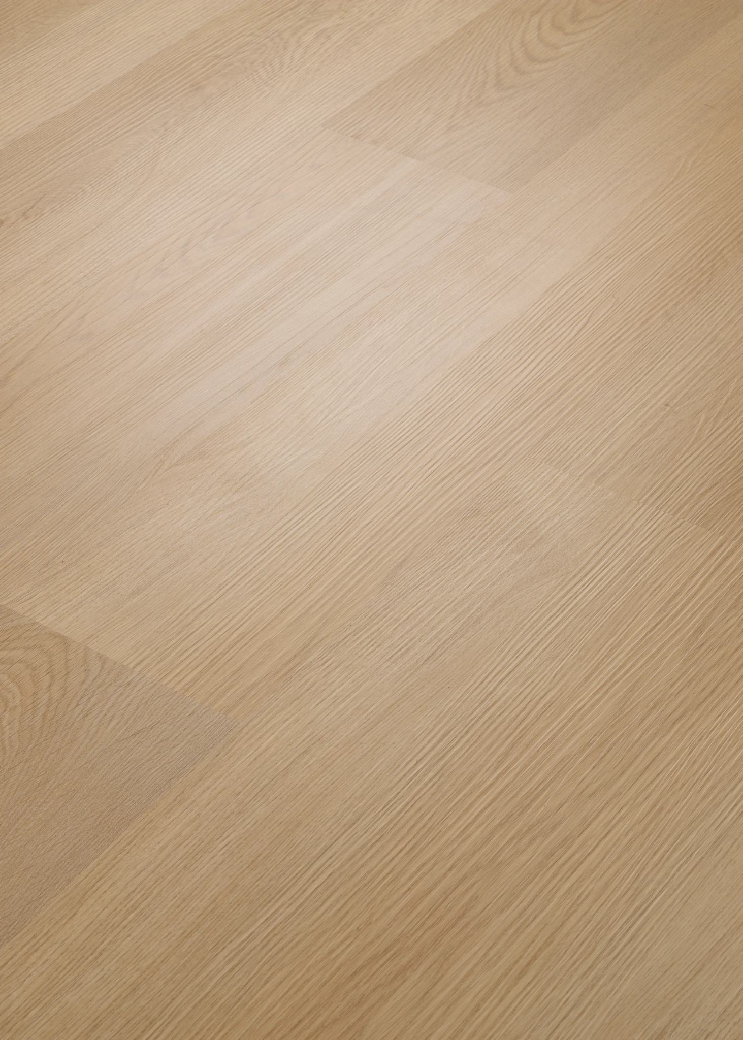 River Bend Oak, seen at an angle