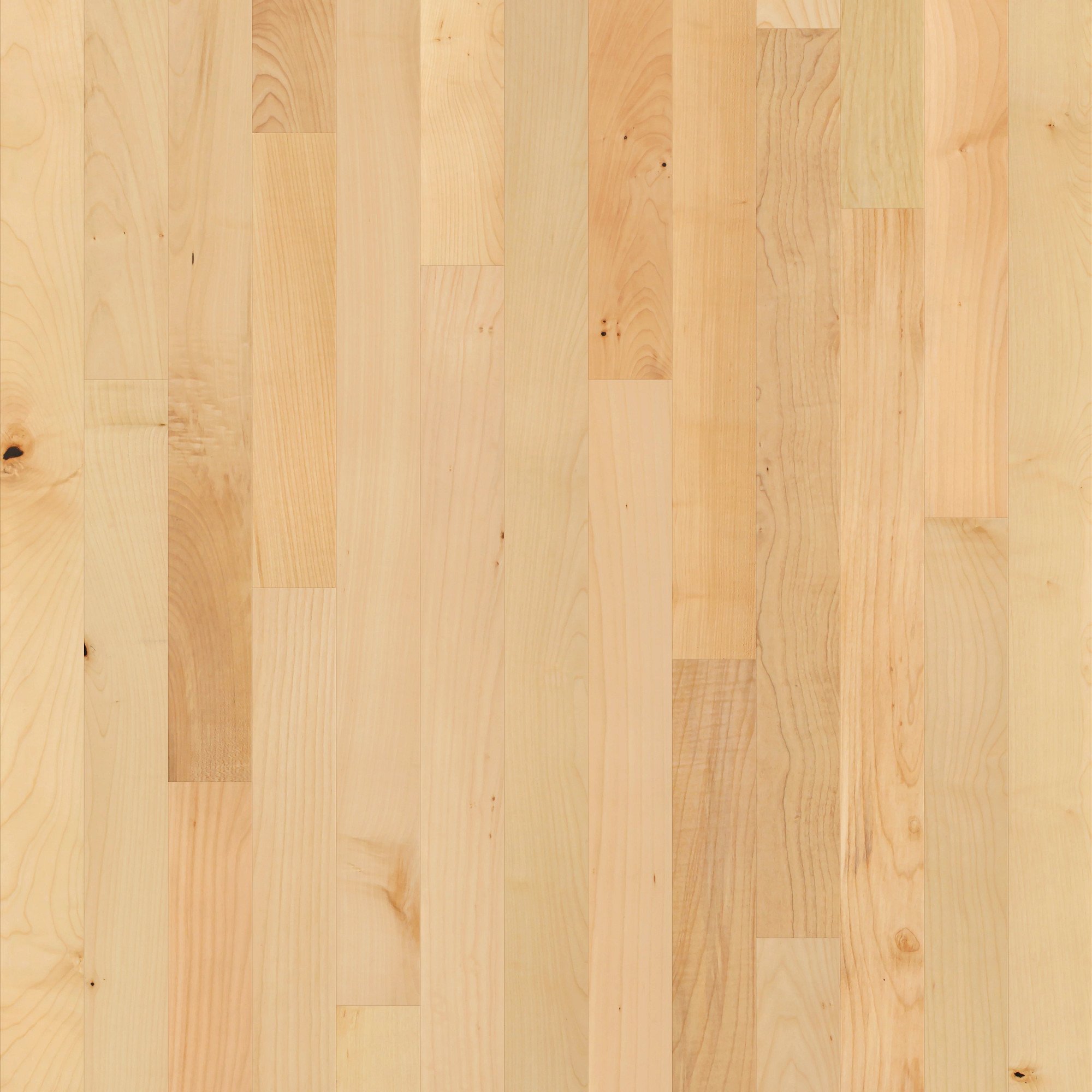 Natural Hard Maple, laid flat, seen from above