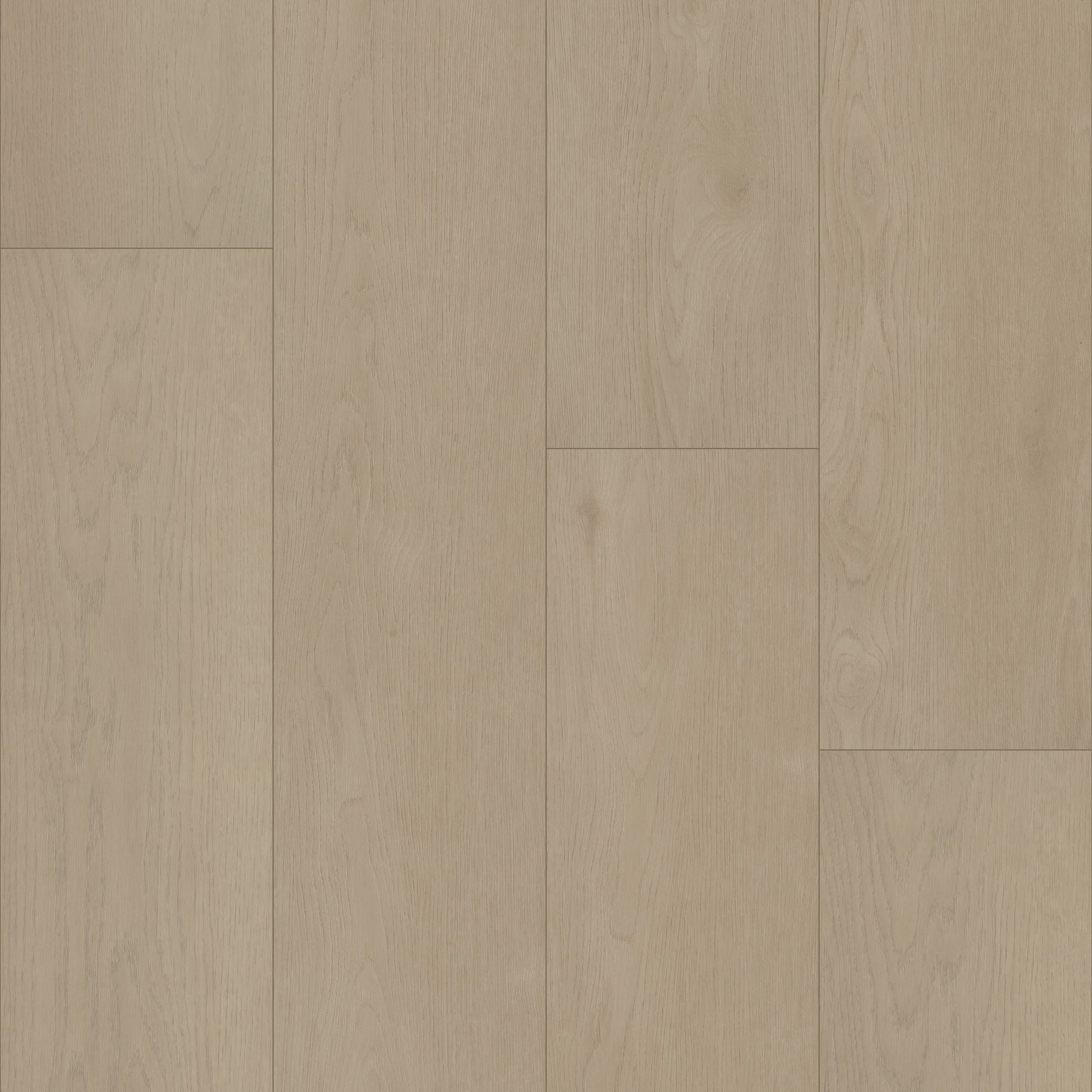 Desert Sand swatch